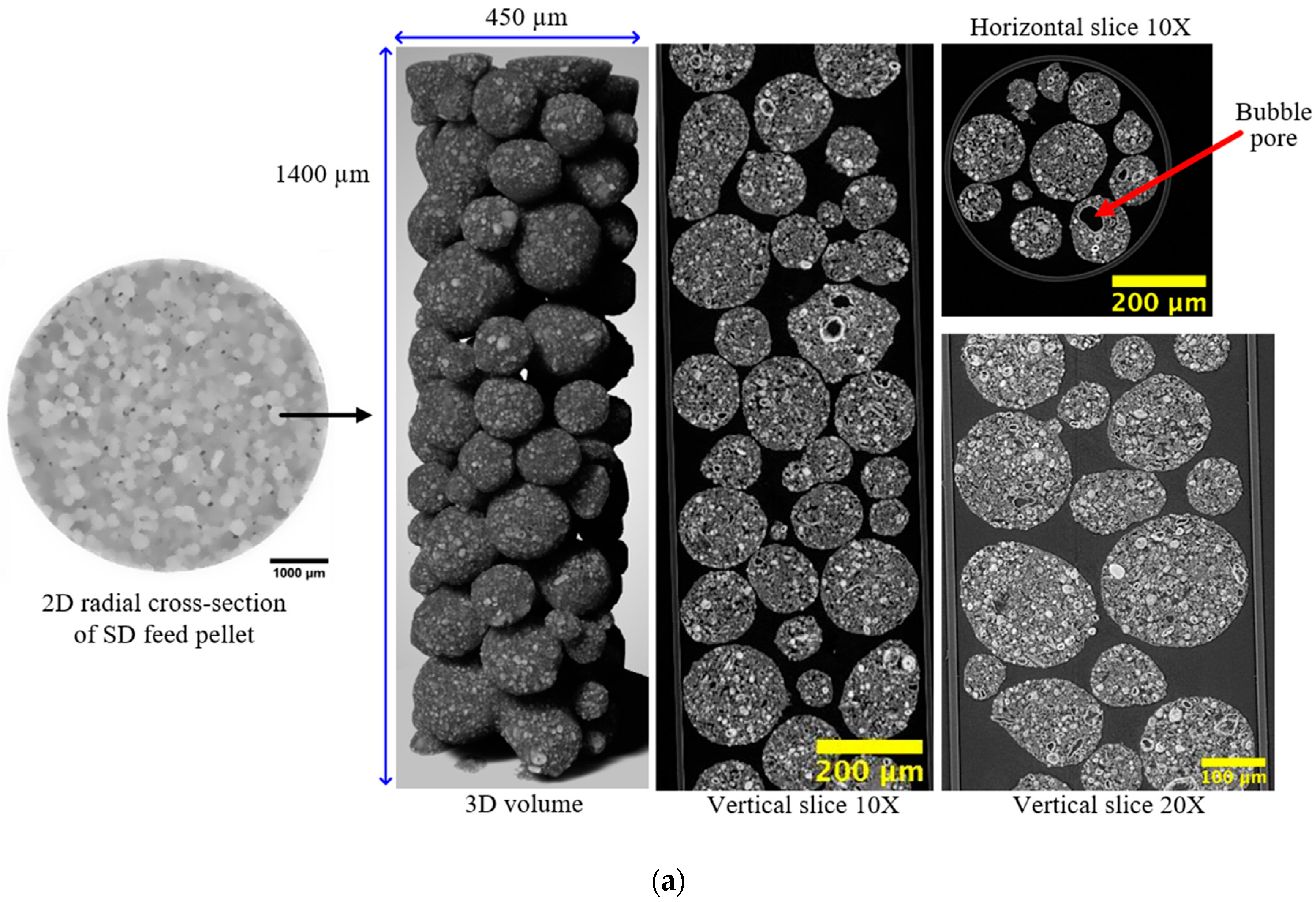 Foundations 04 00015 g007a Foundations 04 00015 g007a