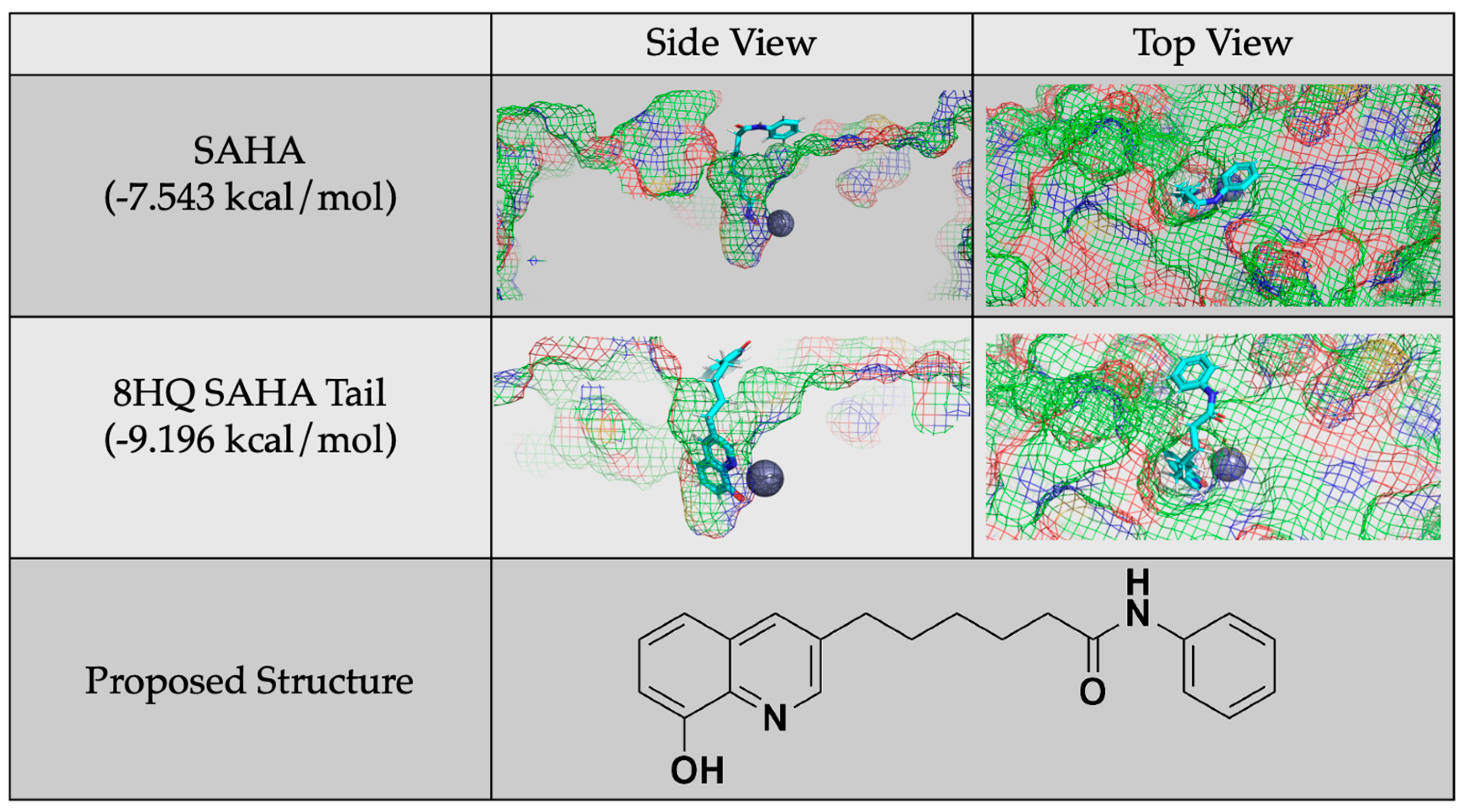 Foundations 04 00024 g009 Foundations 04 00024 g009