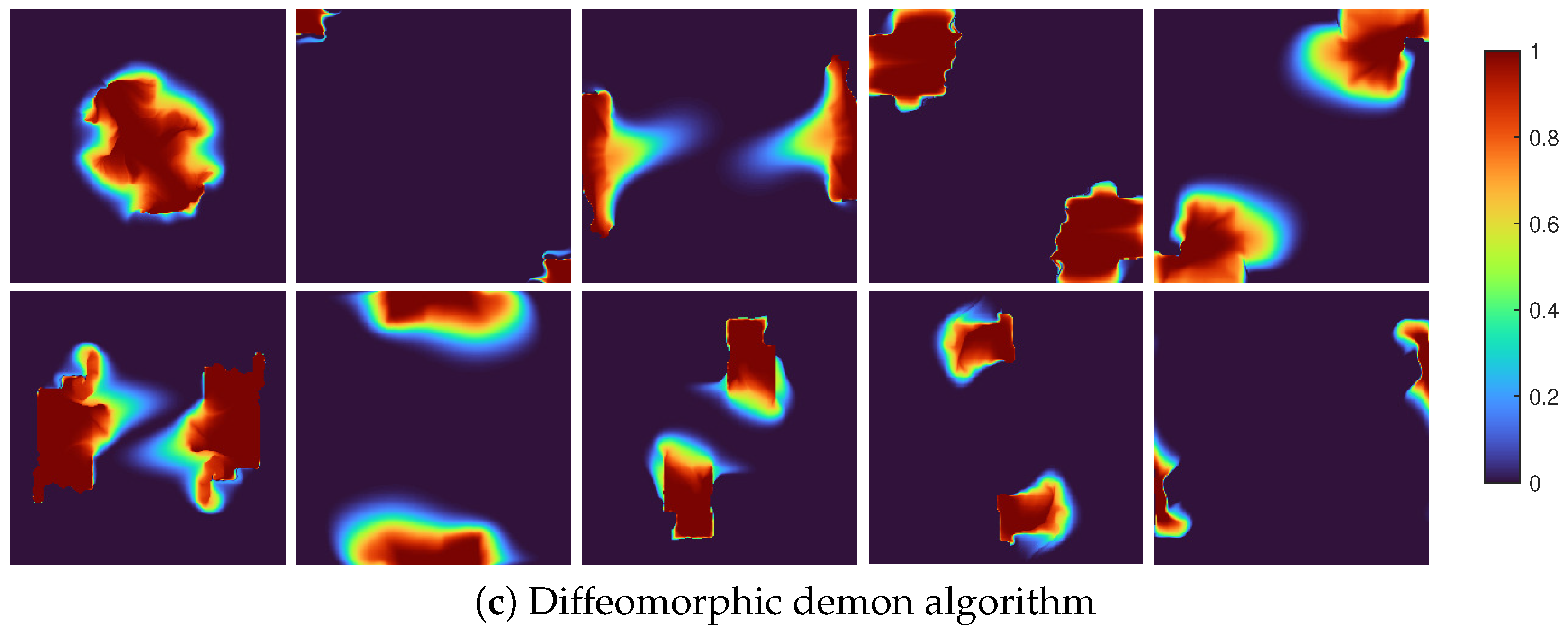 Foundations 04 00043 g005b