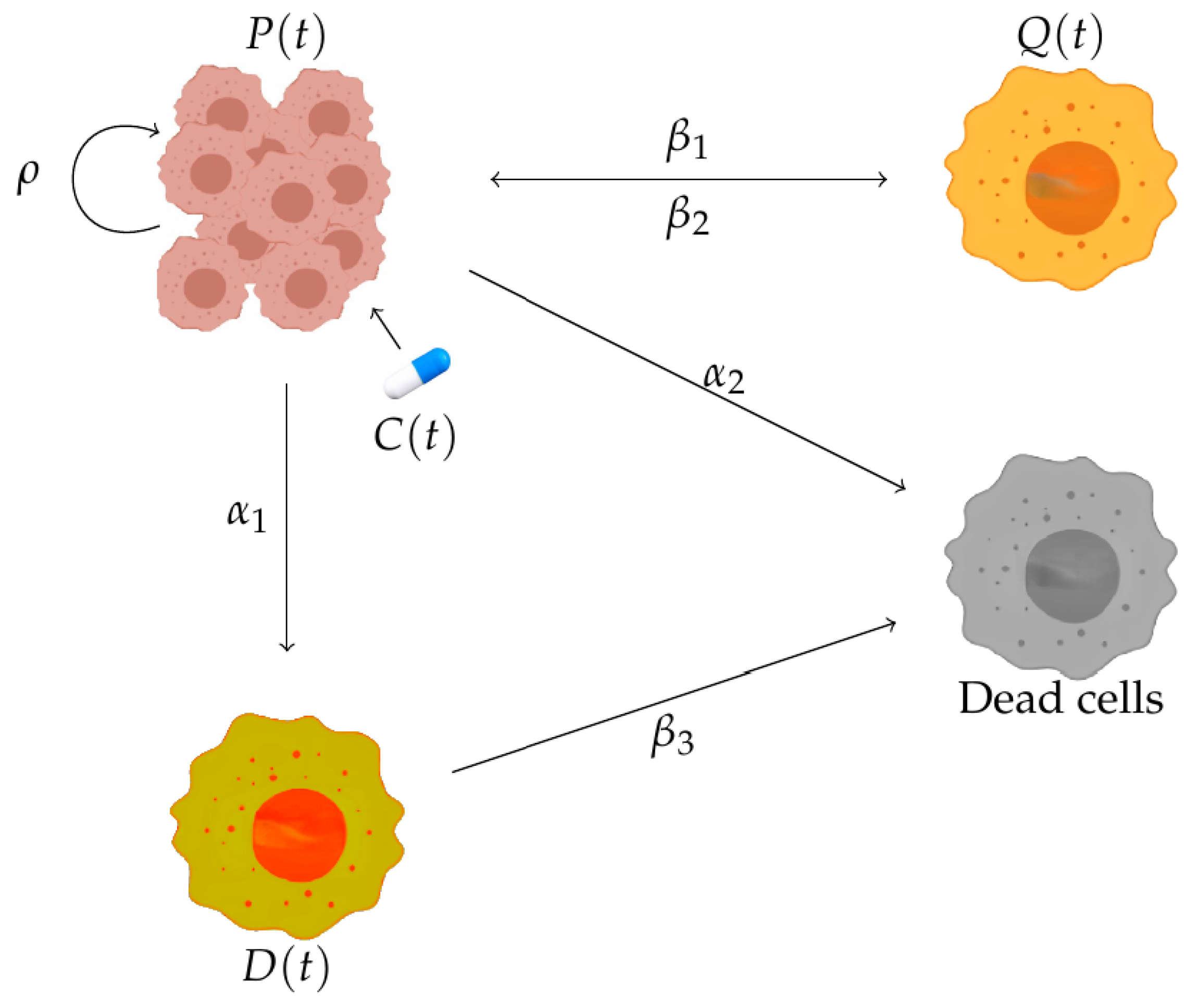 Foundations 05 00006 g001 Foundations 05 00006 g001