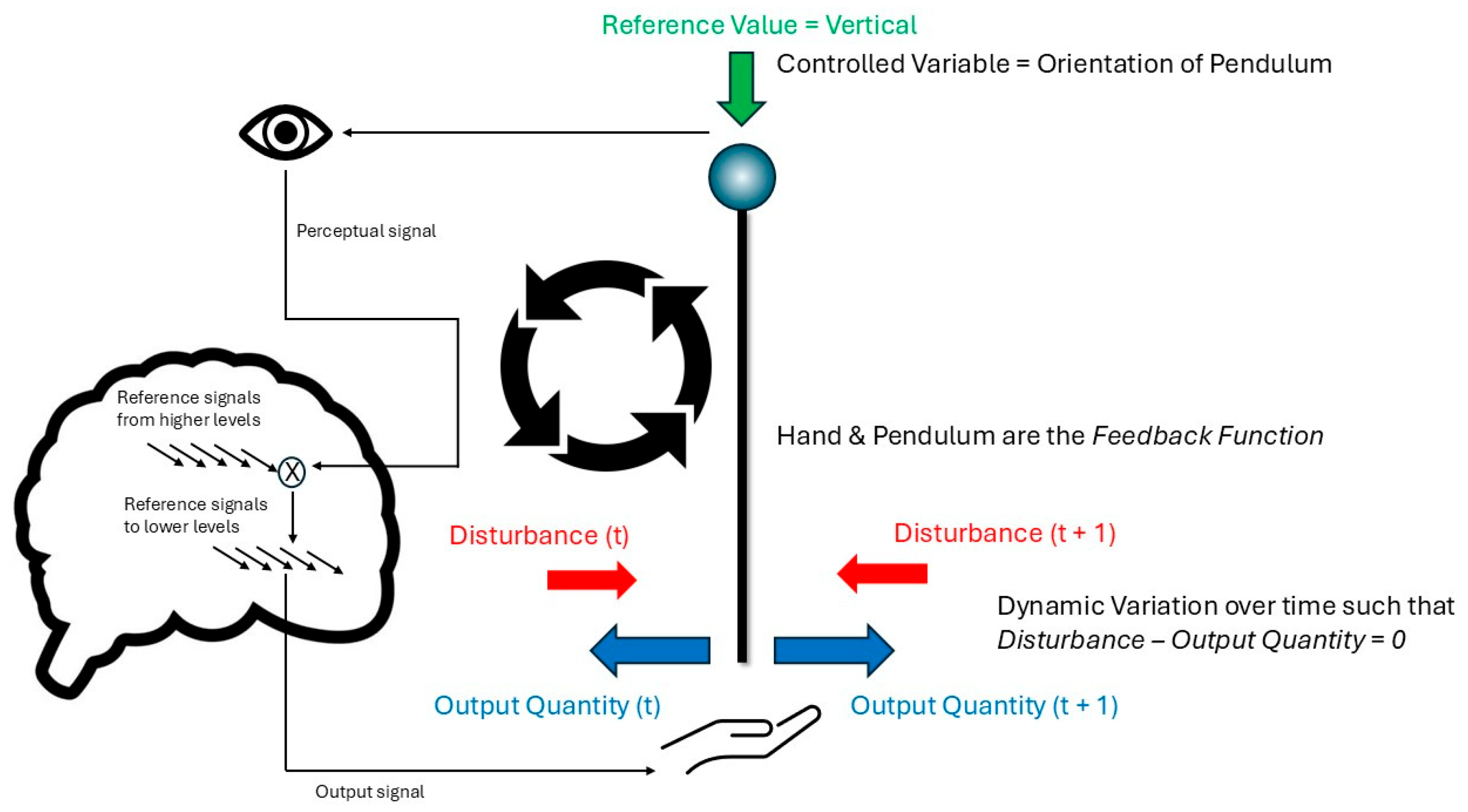 Foundations 05 00035 g001