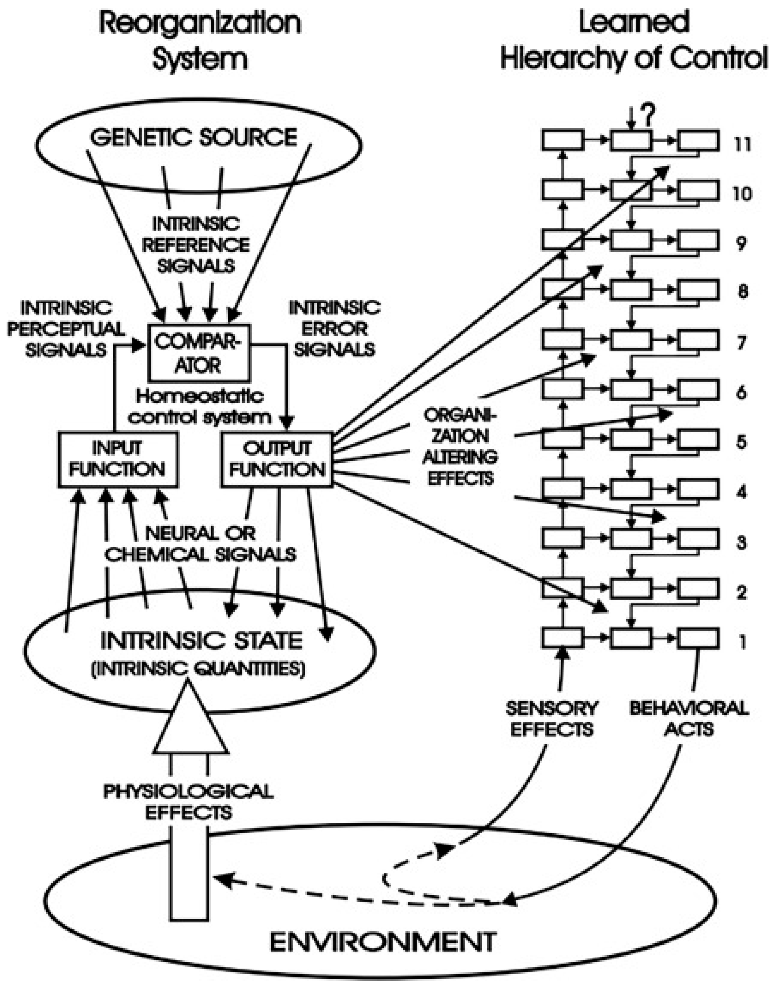Foundations 05 00035 g003
