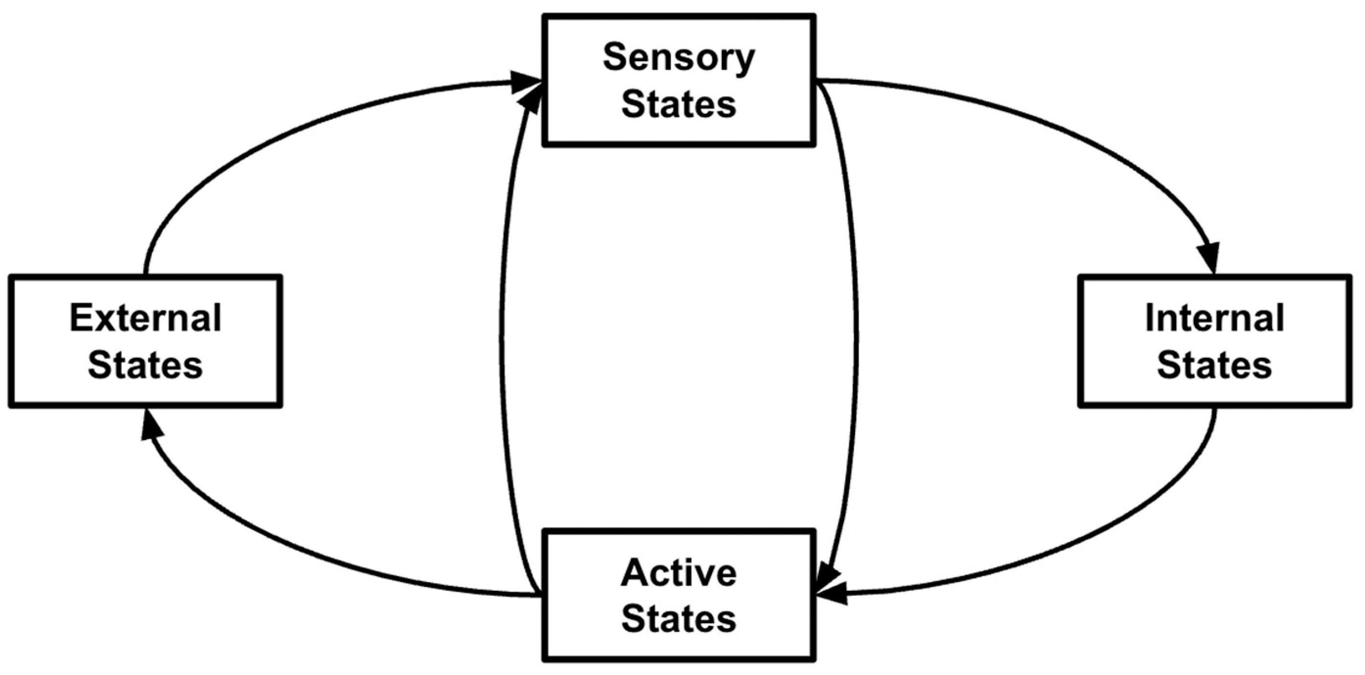 Foundations 05 00035 g005