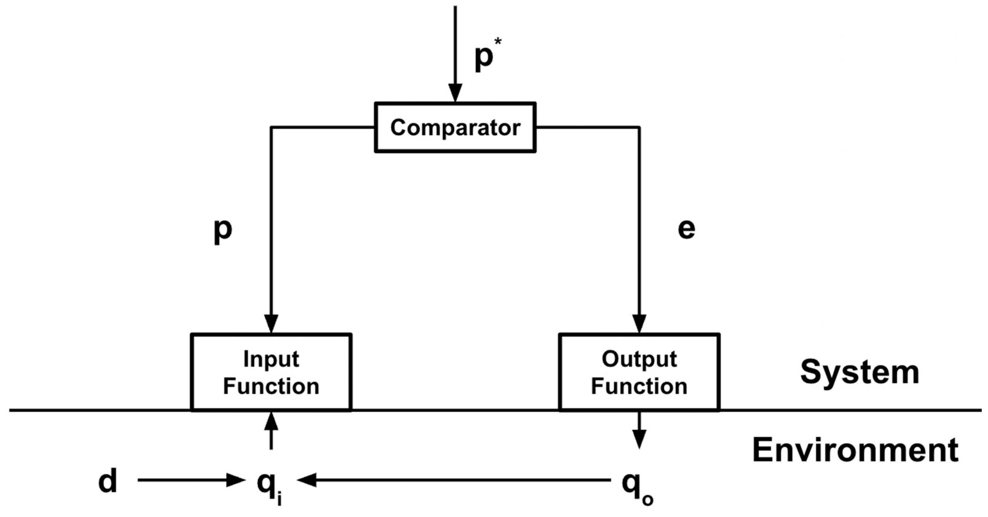 Foundations 05 00035 g006