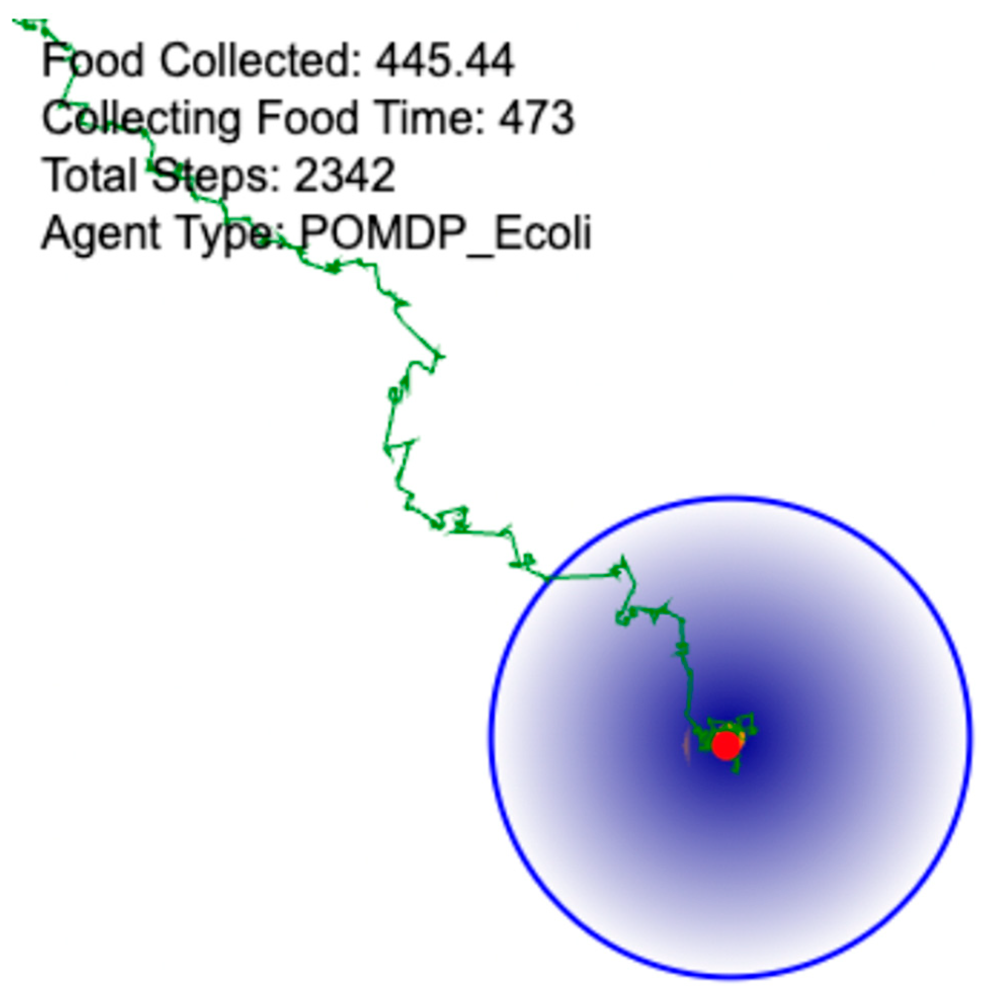 Foundations 05 00035 g011