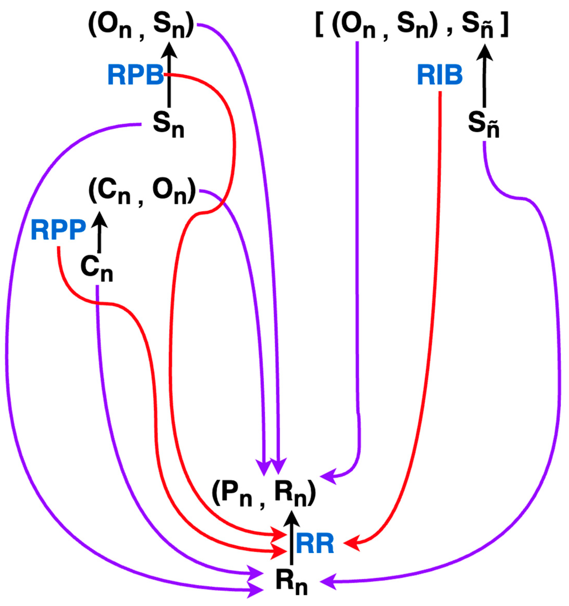 Foundations 05 00035 g017