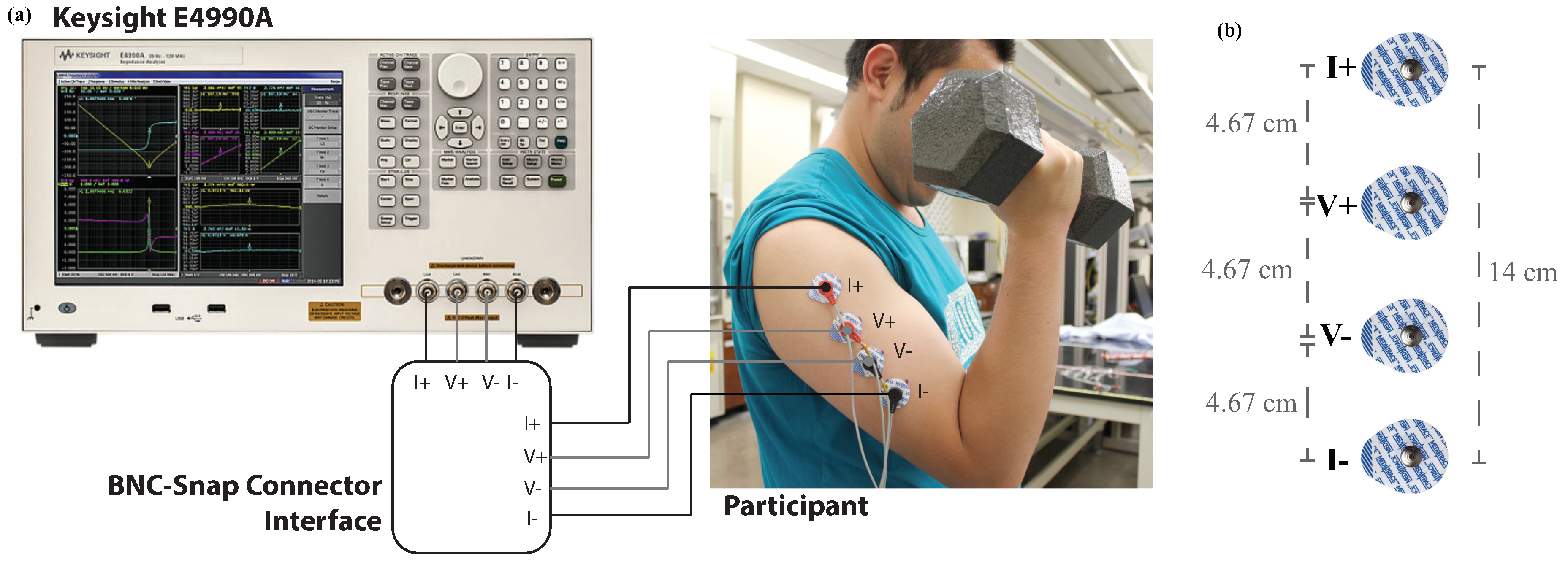 Fractalfract 02 00027 g002