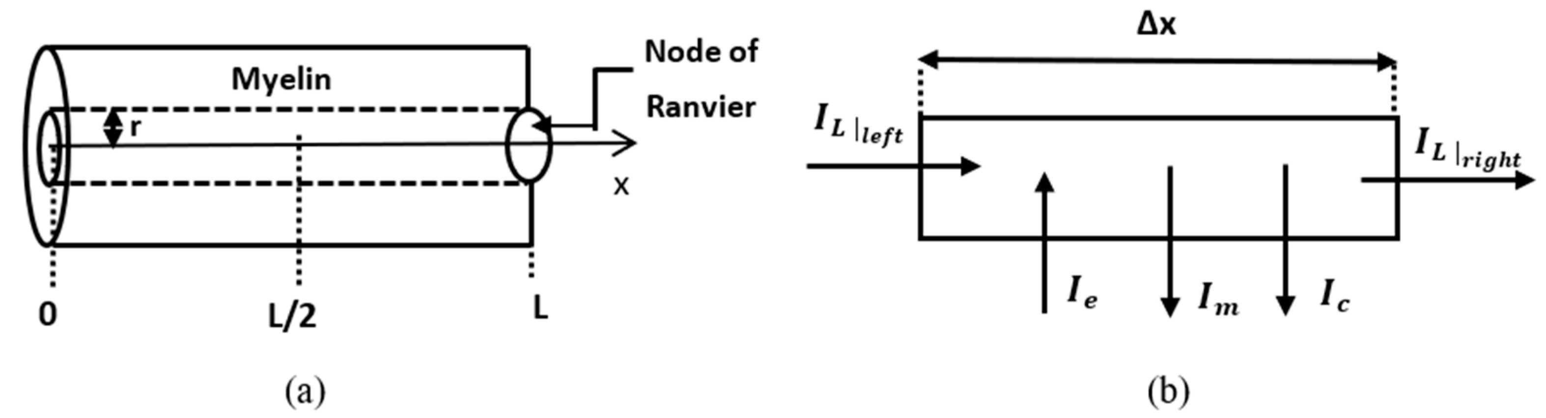 Fractalfract 05 00004 g002
