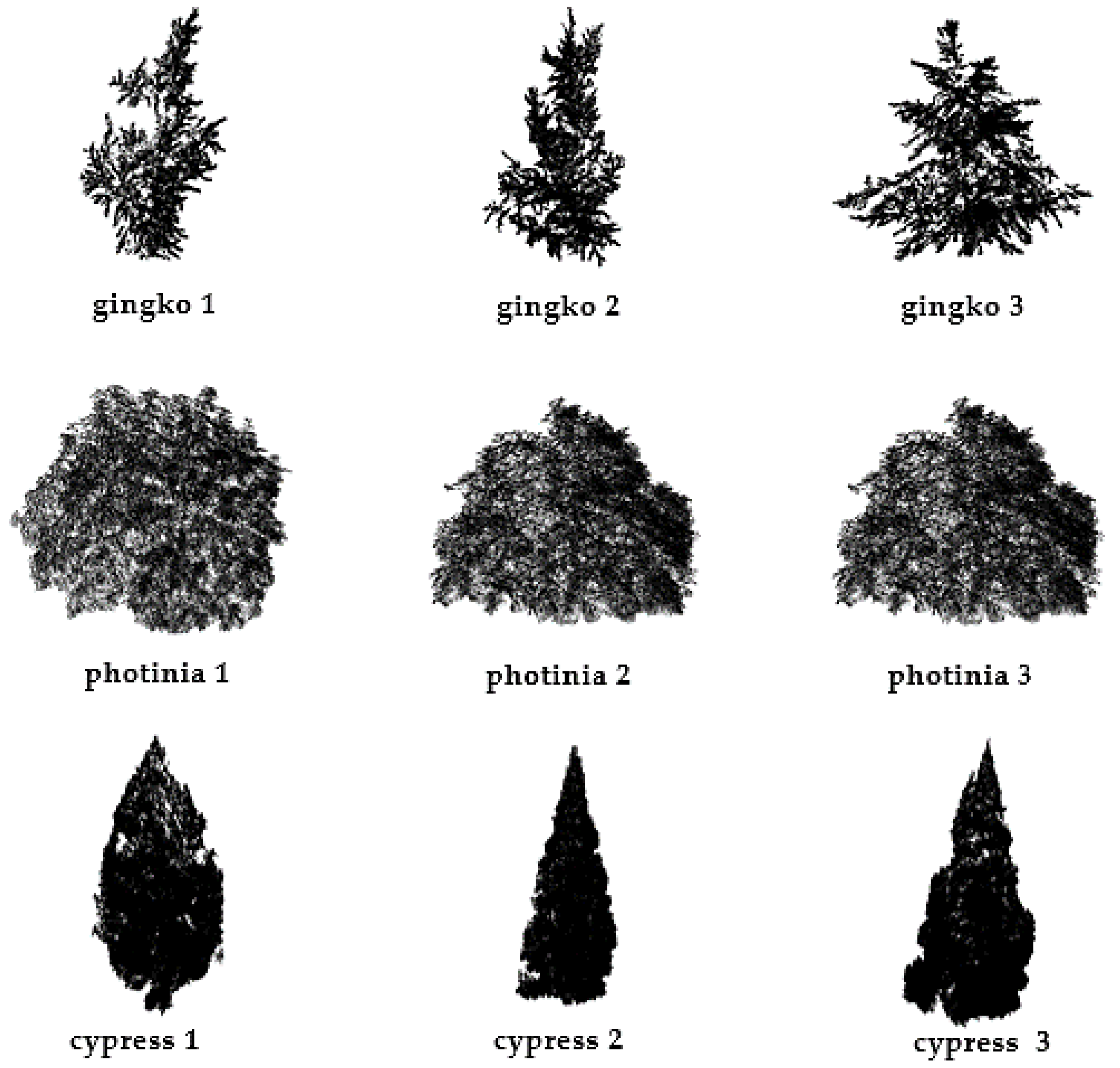 Fractalfract 05 00014 g002 Fractalfract 05 00014 g002