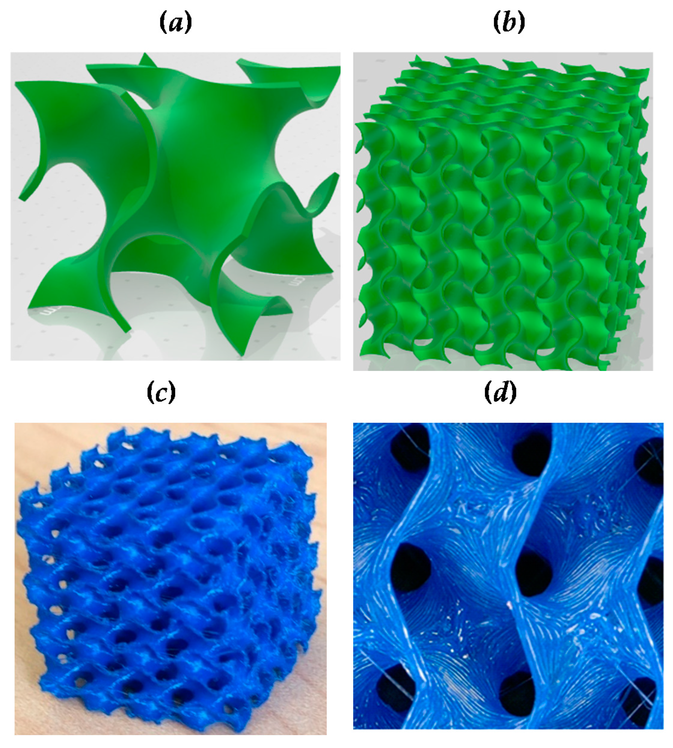 Fractalfract 05 00040 g001 Fractalfract 05 00040 g001