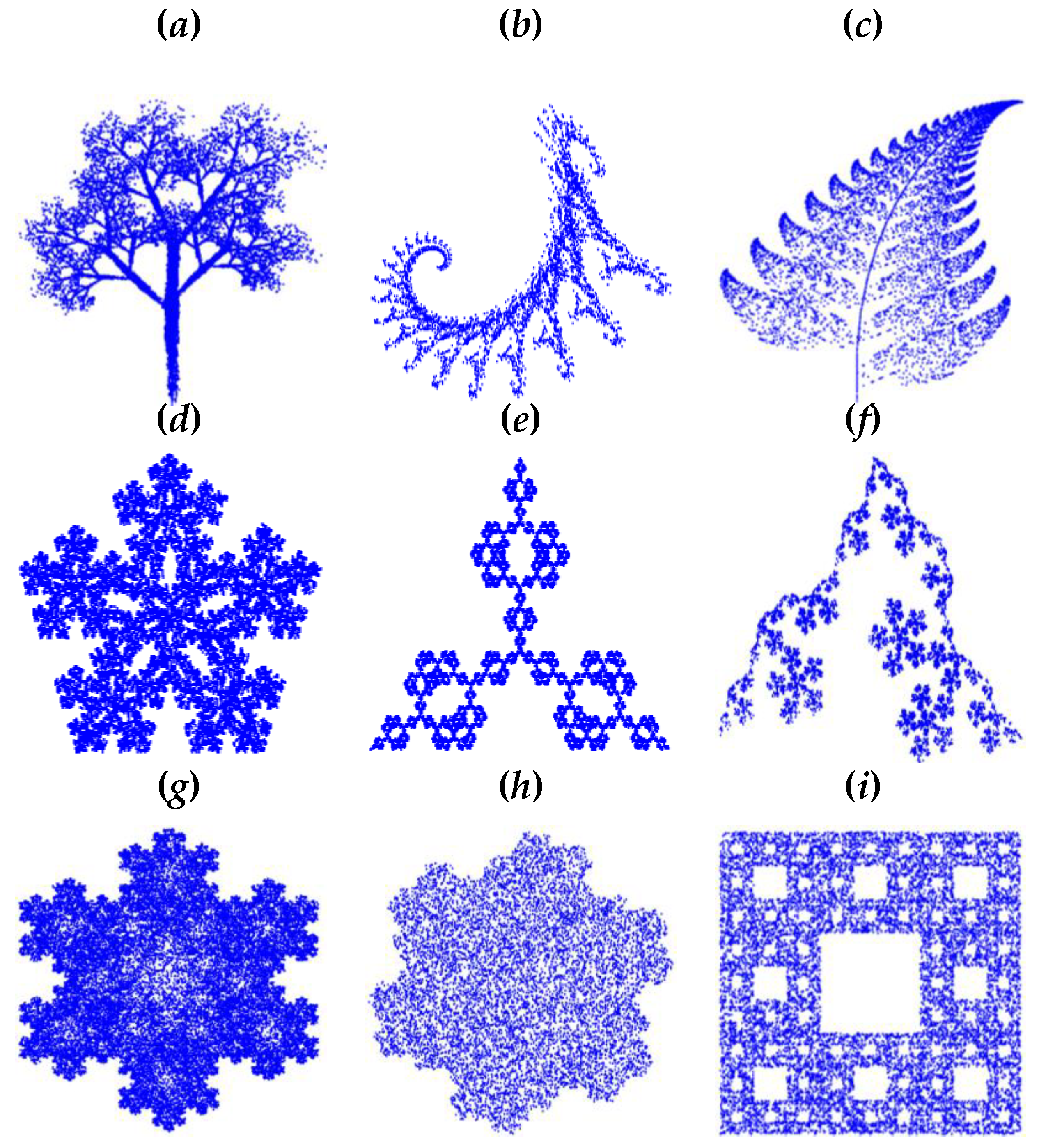 Fractalfract 05 00040 g004 Fractalfract 05 00040 g004