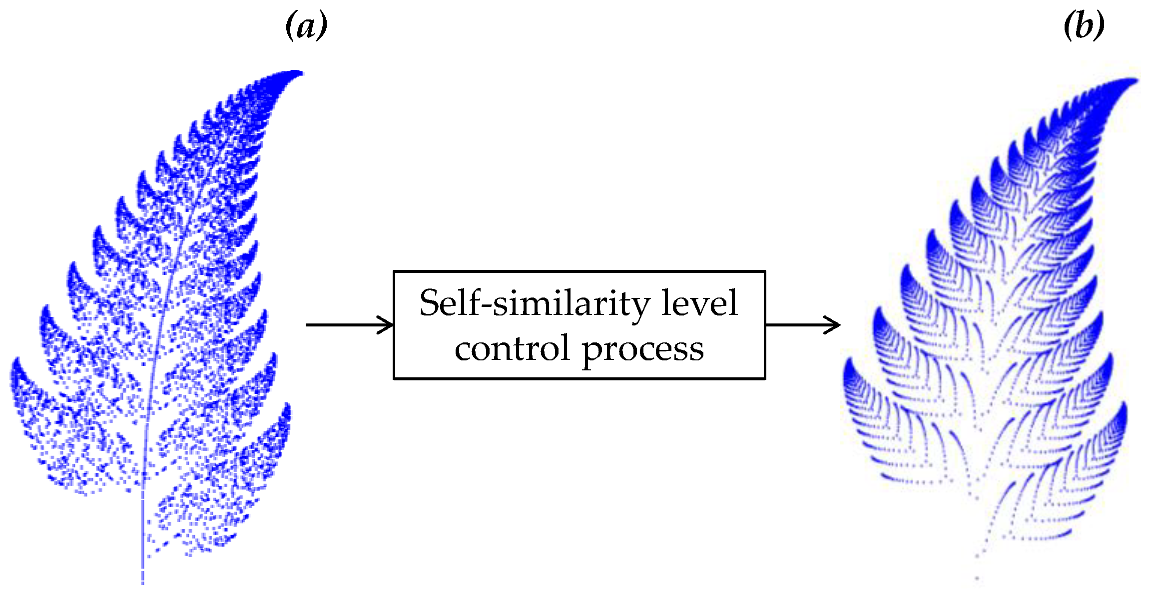 Fractalfract 05 00040 g005 Fractalfract 05 00040 g005
