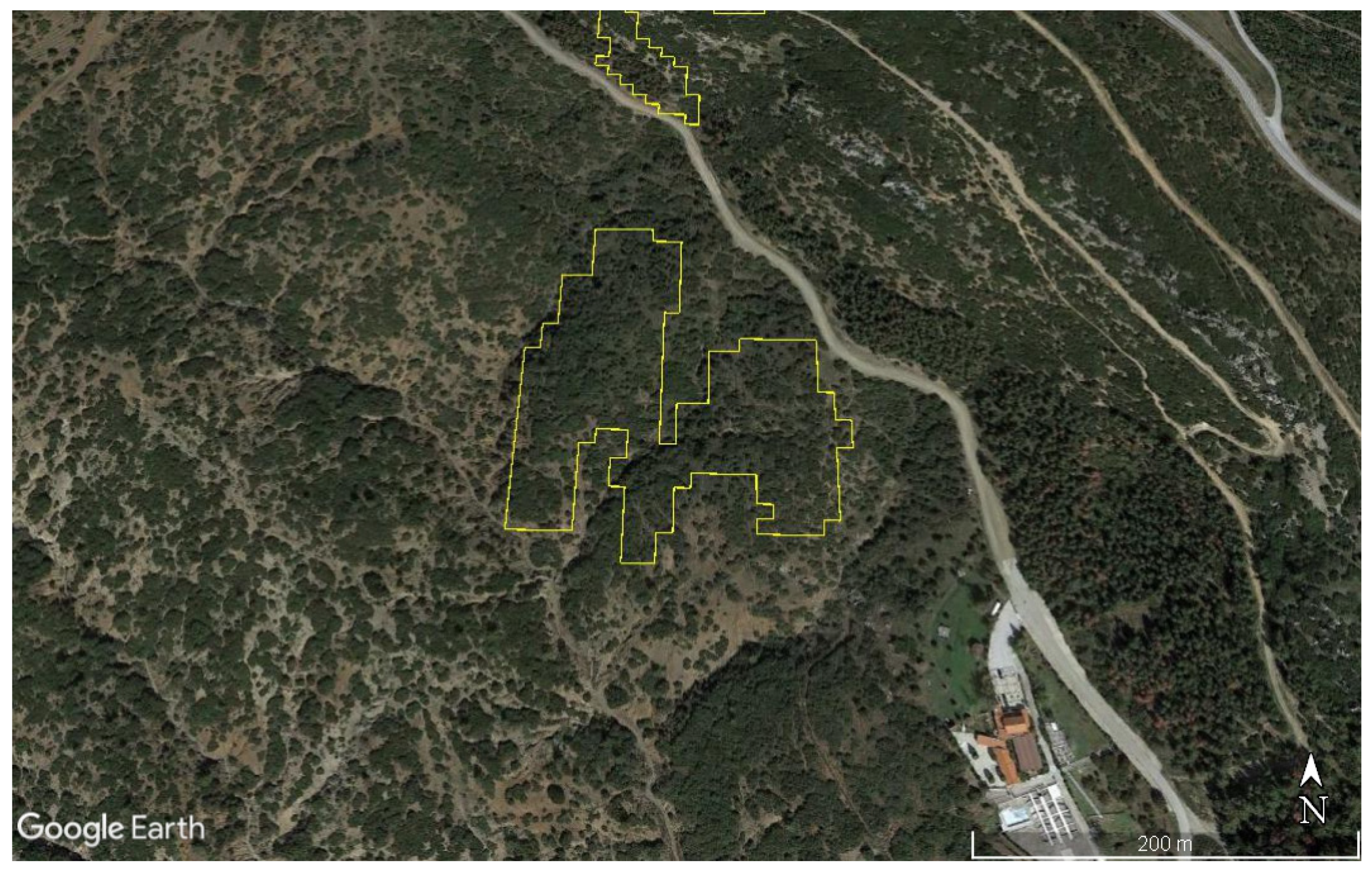 Fractalfract 05 00127 g004 Fractalfract 05 00127 g004