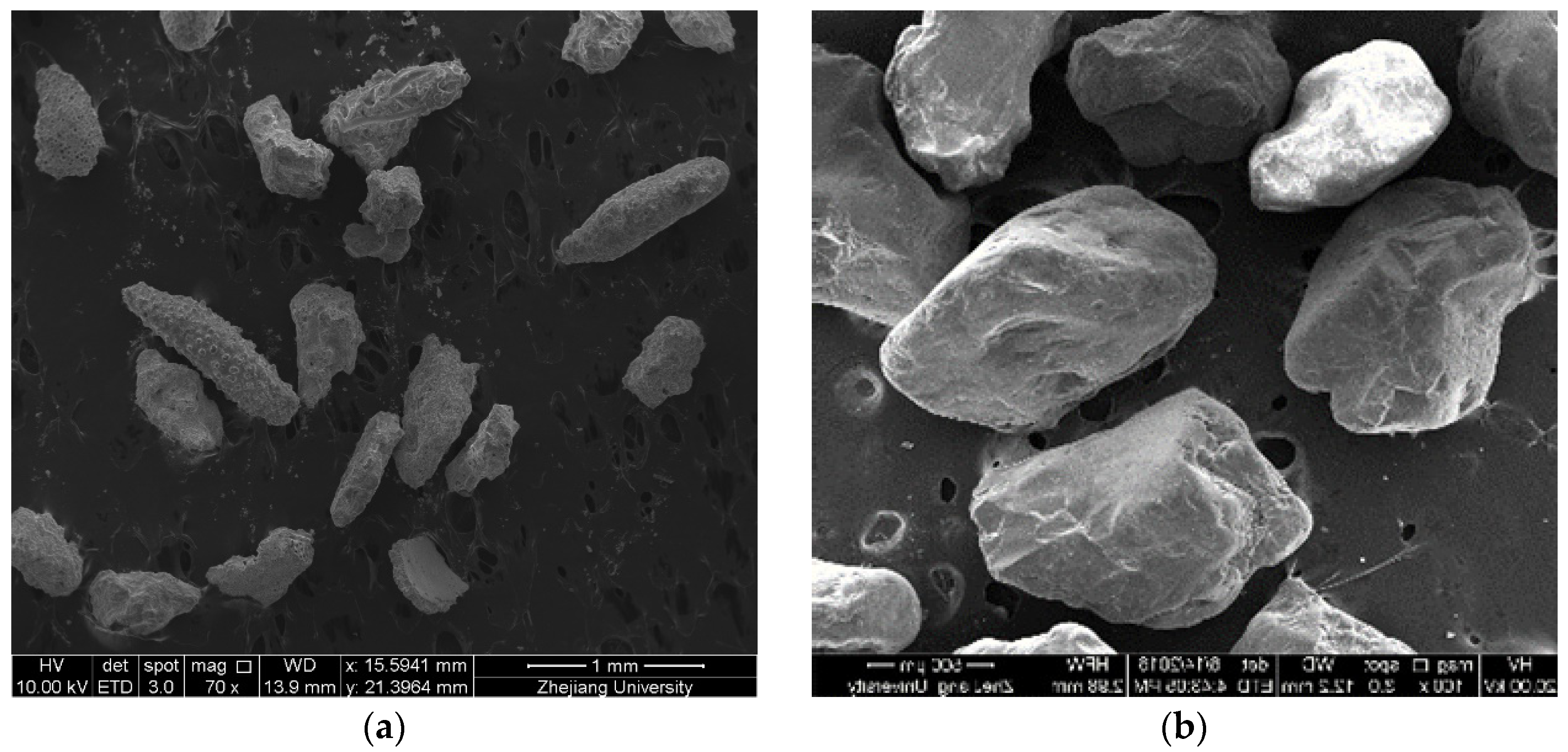 Fractalfract 05 00152 g002