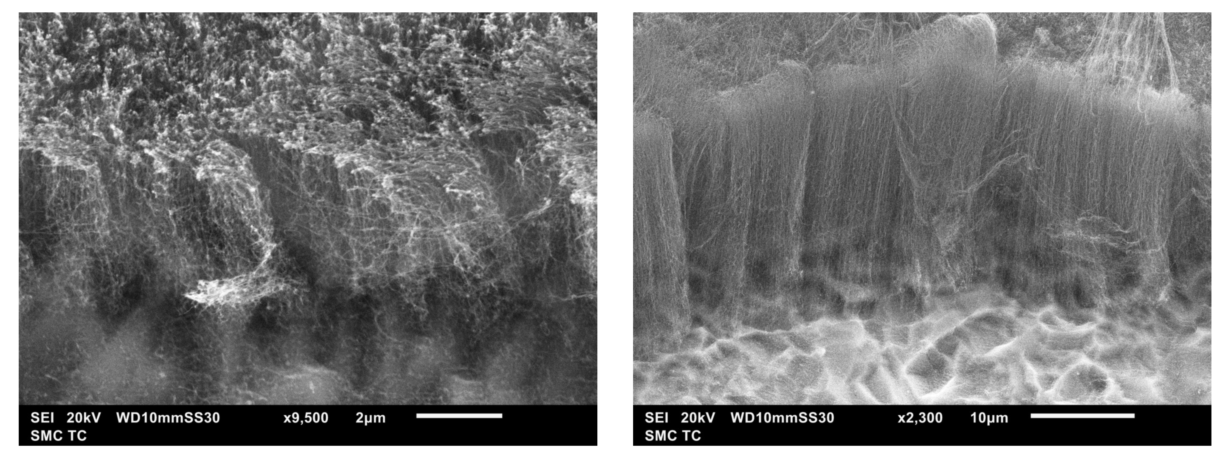 Fractalfract 05 00191 g005 550