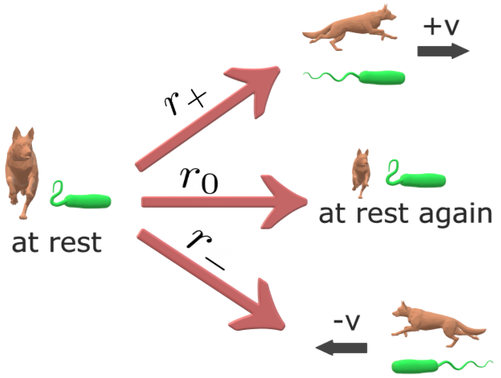 Fractalfract 05 00221 g001