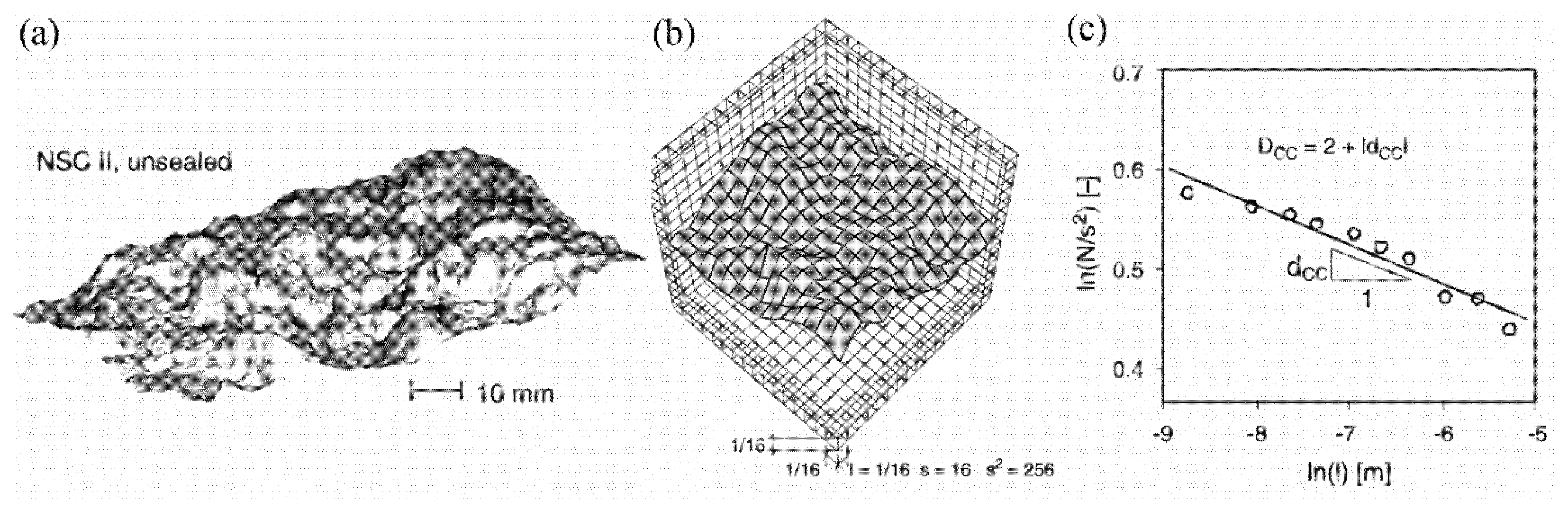 Fractalfract 05 00247 g007 Fractalfract 05 00247 g007
