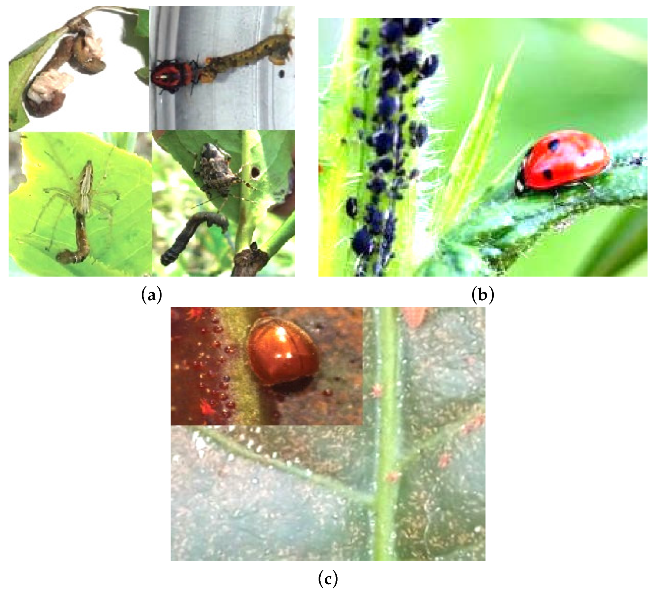 Fractalfract 06 00001 g002 550