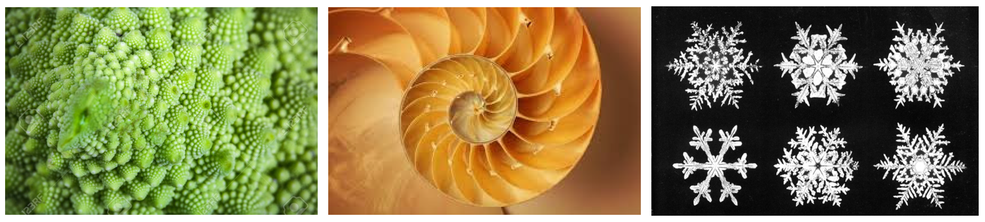 Fractalfract 06 00134 g001 550