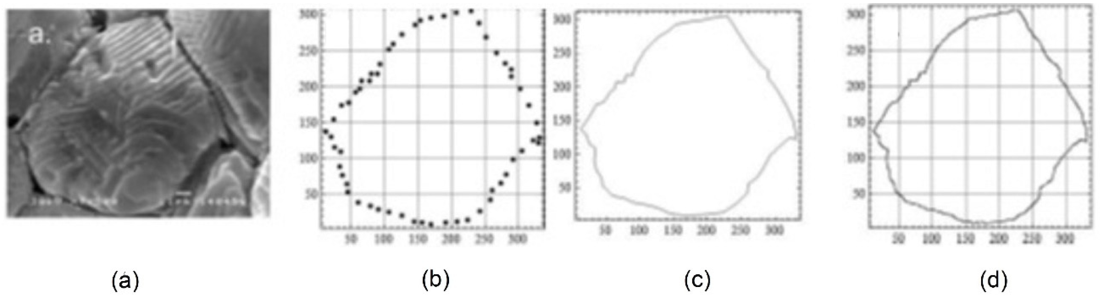 Fractalfract 06 00134 g004 550