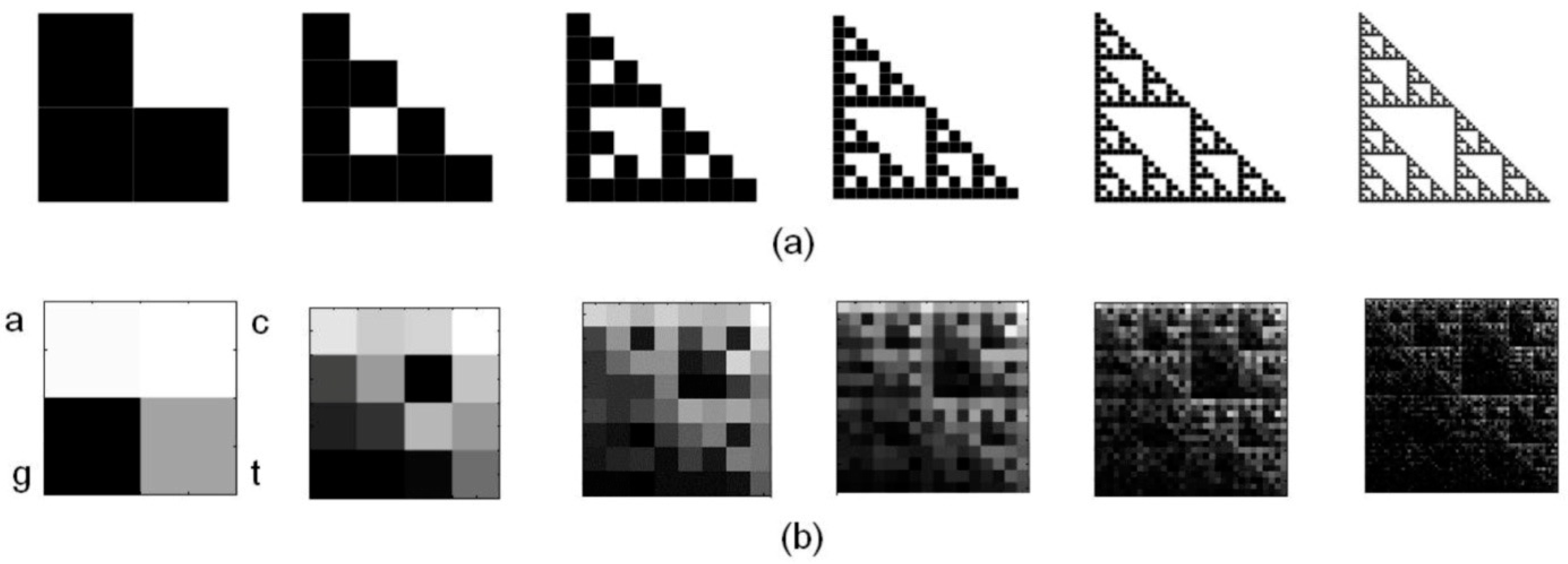 Fractalfract 06 00219 g003 Fractalfract 06 00219 g003