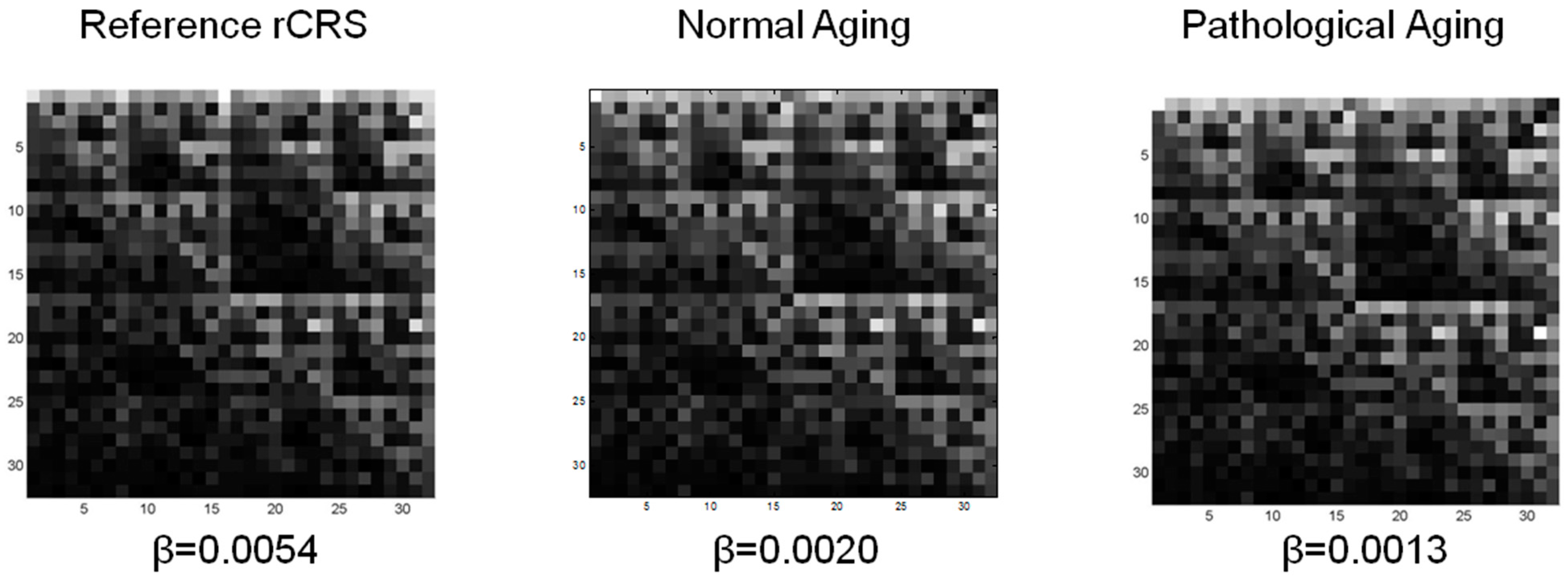 Fractalfract 06 00219 g004 Fractalfract 06 00219 g004