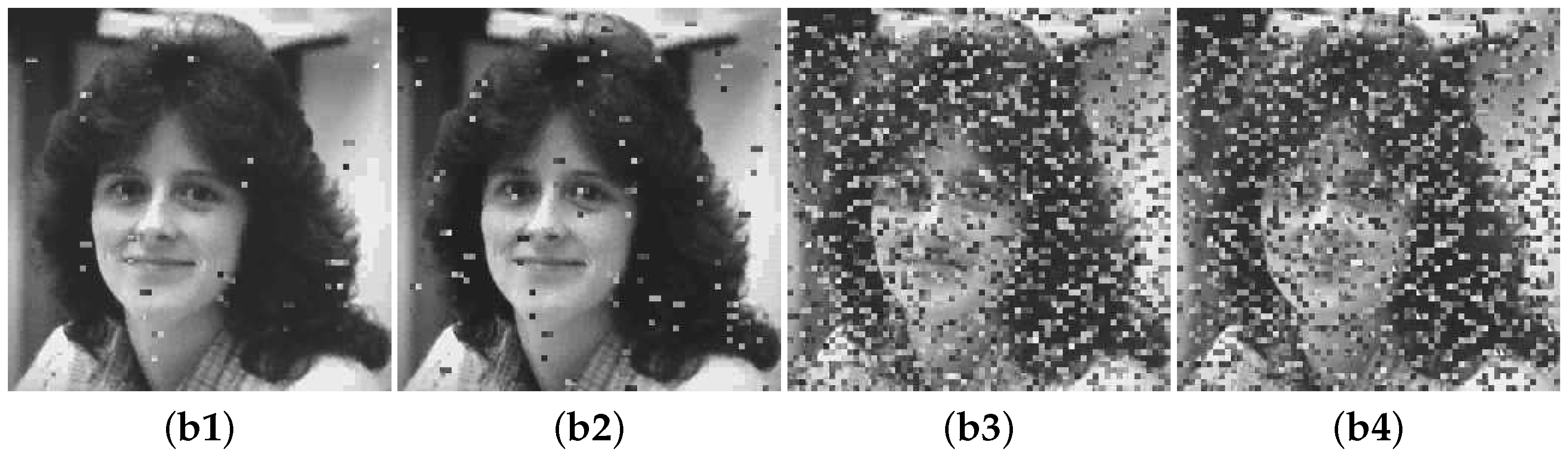 Fractalfract 06 00302 g013b