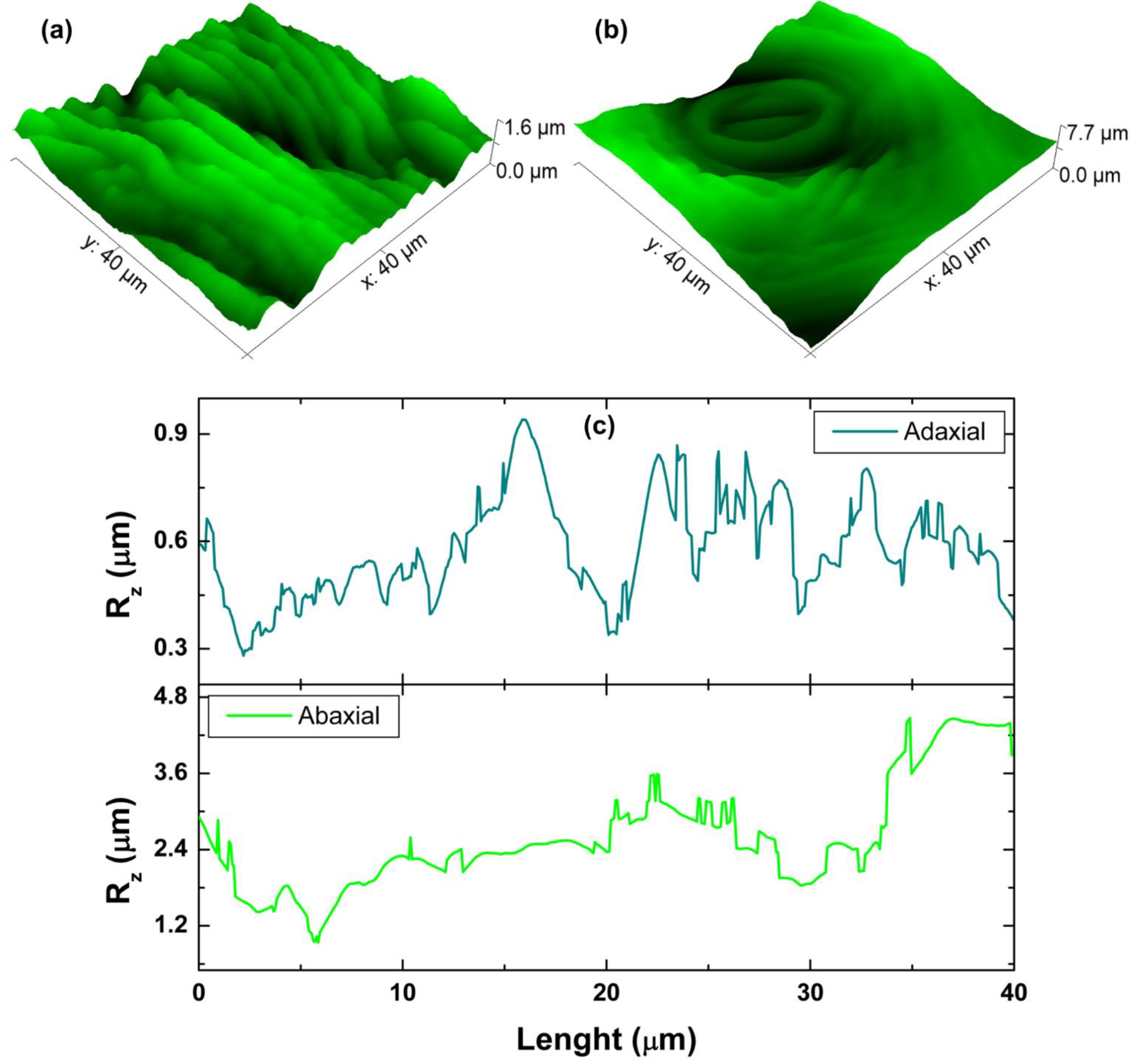 Fractalfract 06 00320 g002