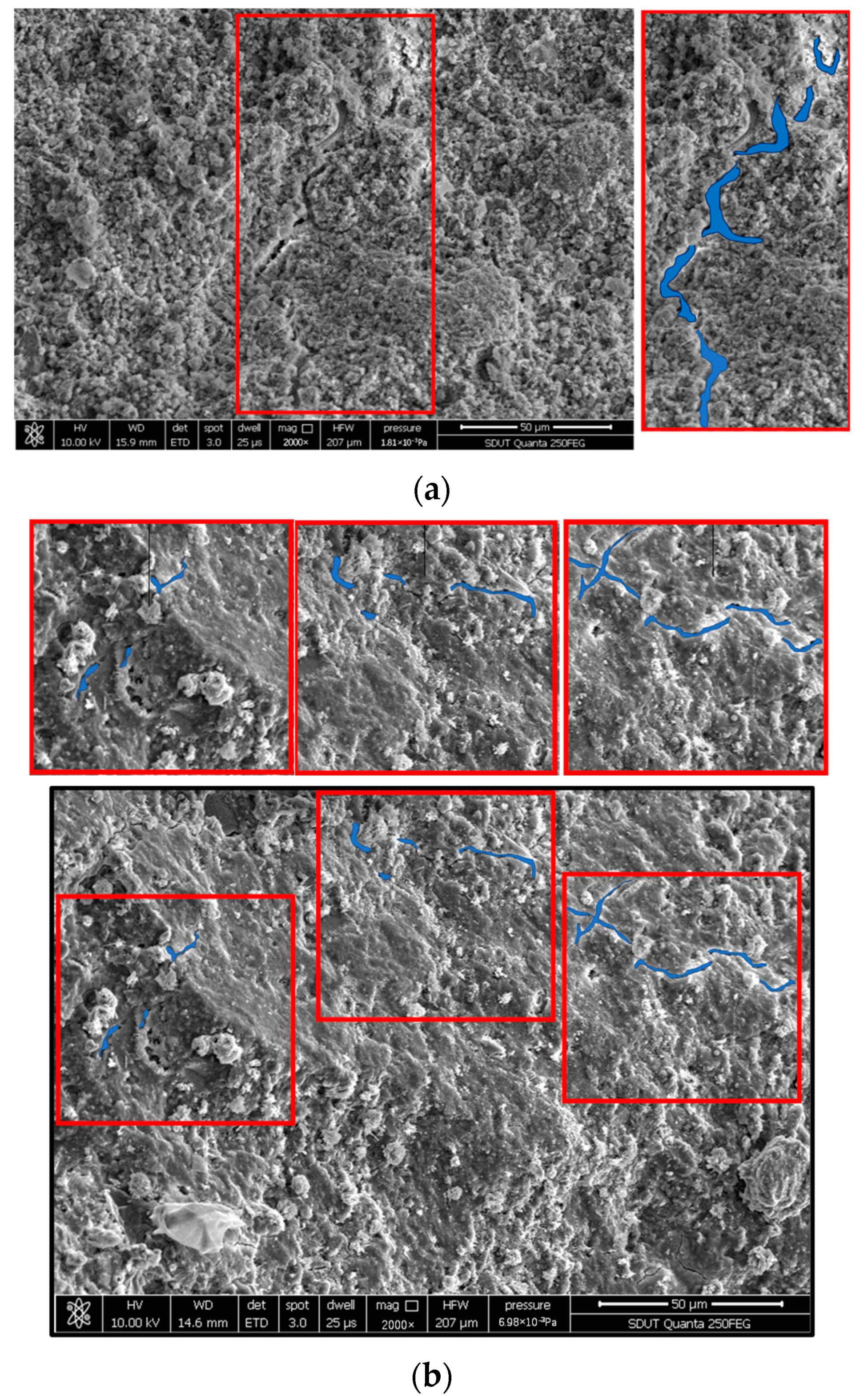 Fractalfract 06 00427 g008 550