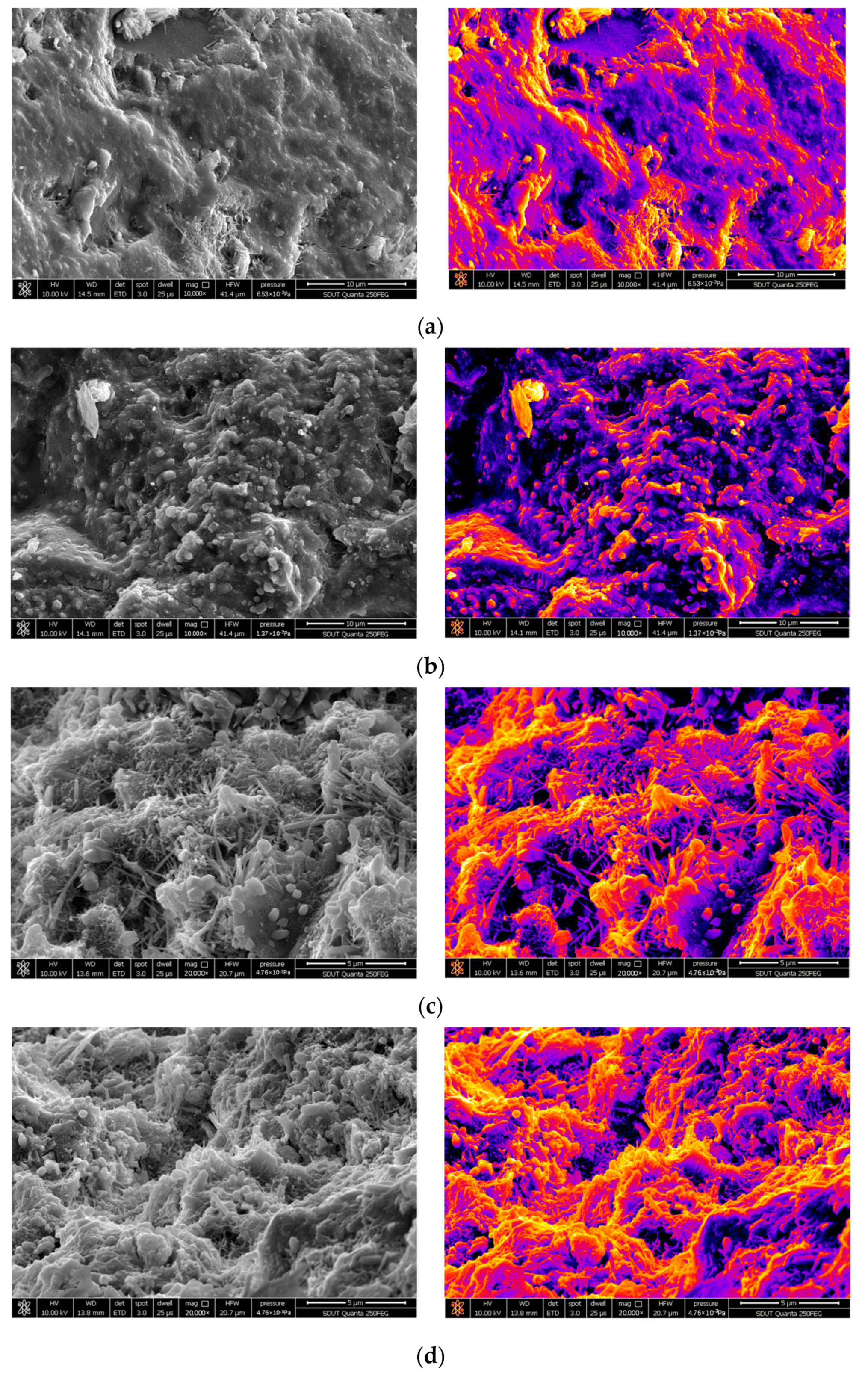 Fractalfract 06 00427 g009 550