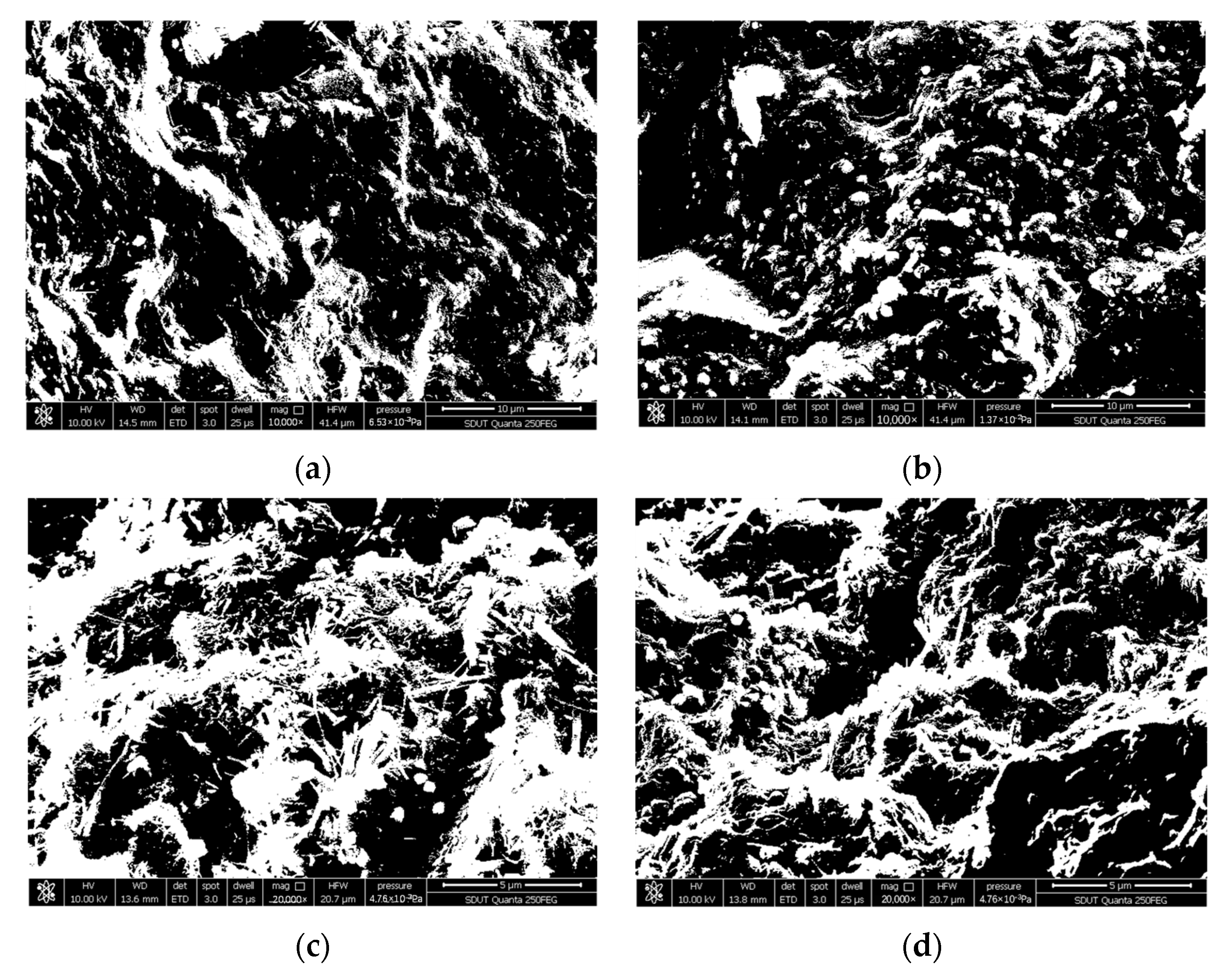 Fractalfract 06 00427 g010 550