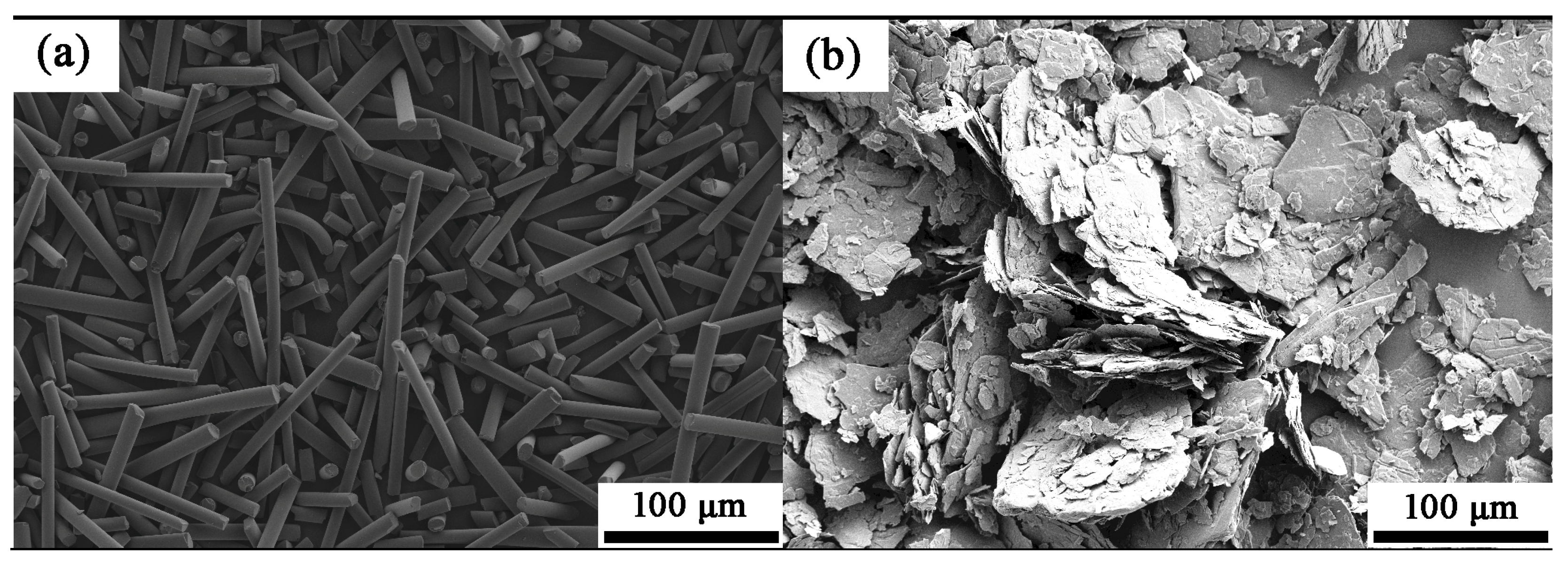 Fractalfract 06 00460 g001