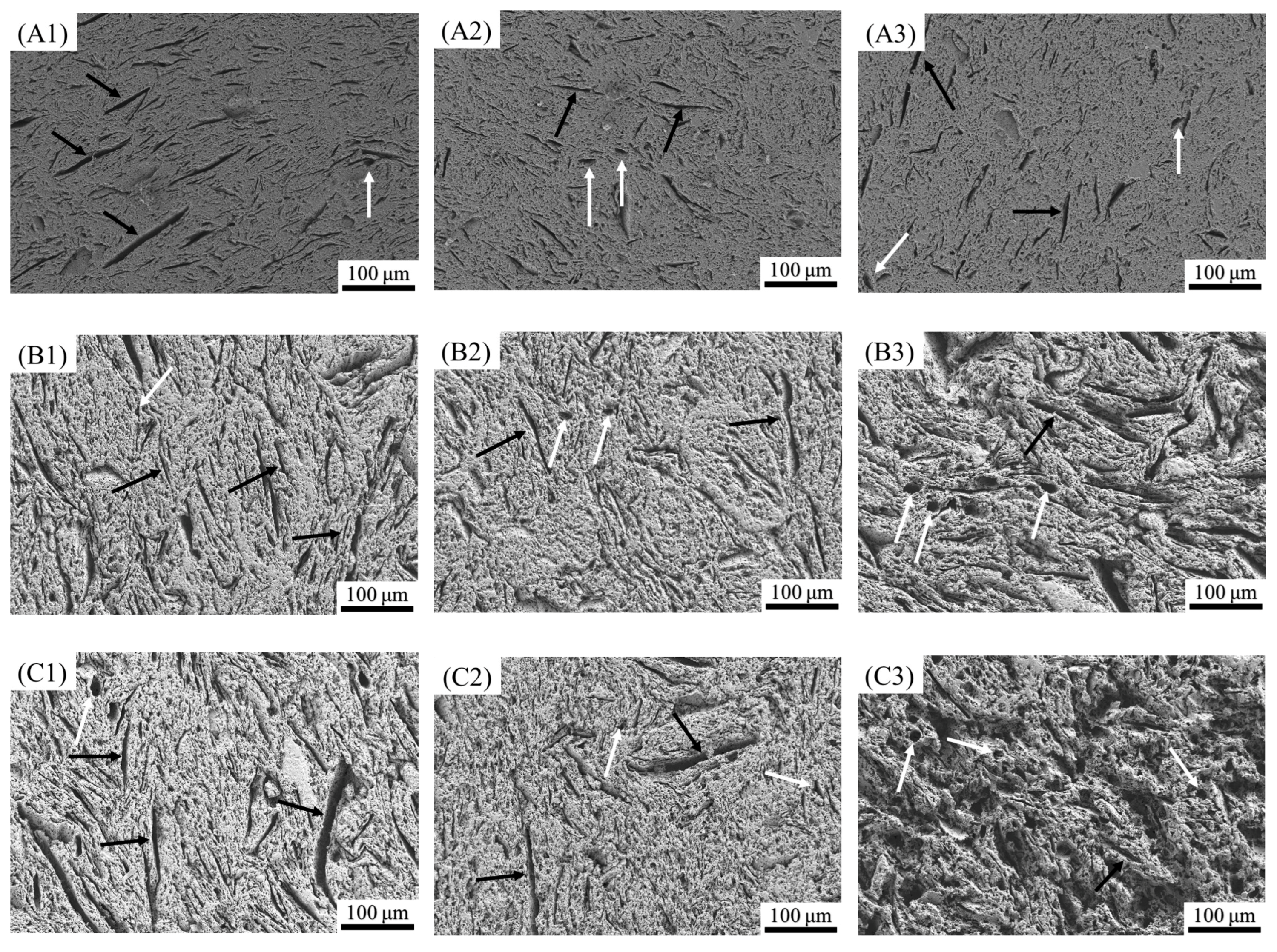 Fractalfract 06 00460 g010