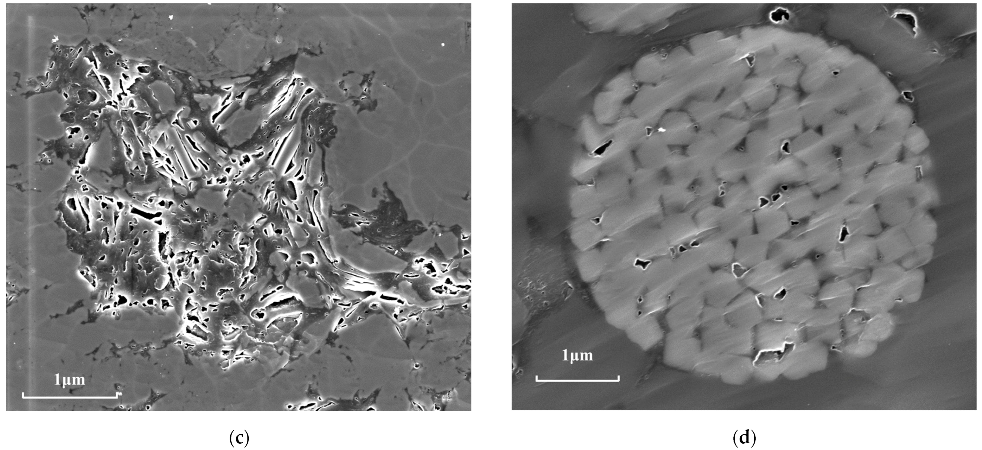 Fractalfract 06 00484 g006b 550
