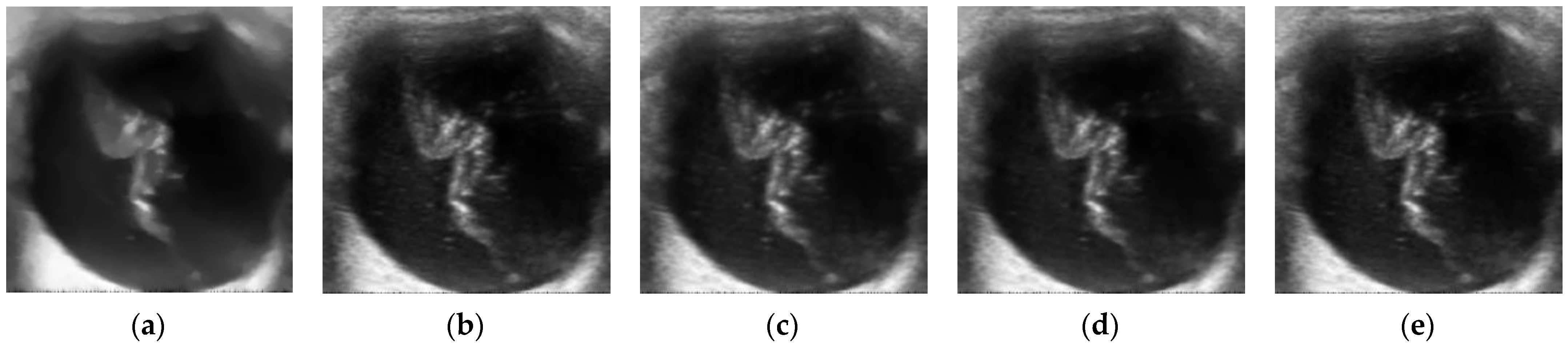 Fractalfract 06 00508 g005 550