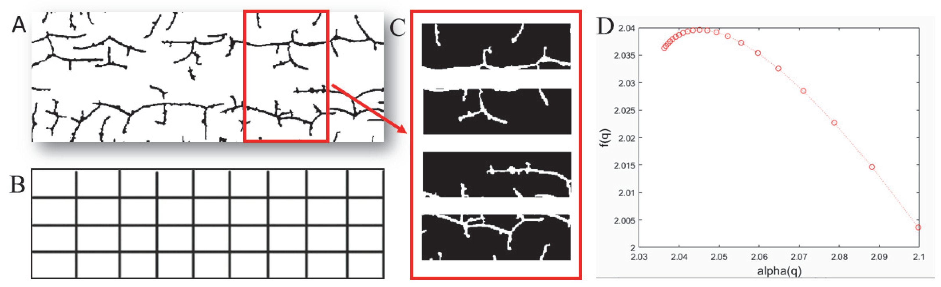 Fractalfract 06 00539 g001 550