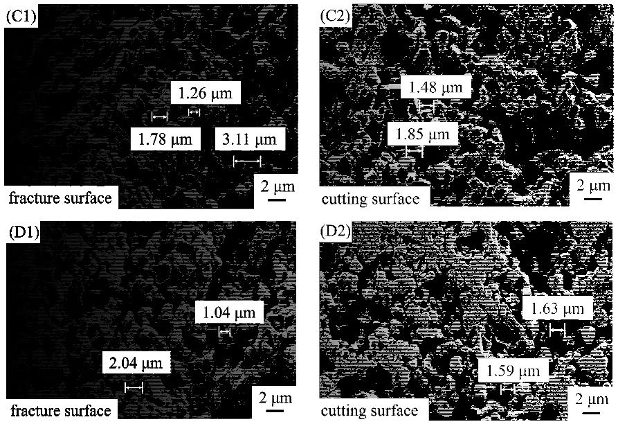 Fractalfract 06 00574 g005b