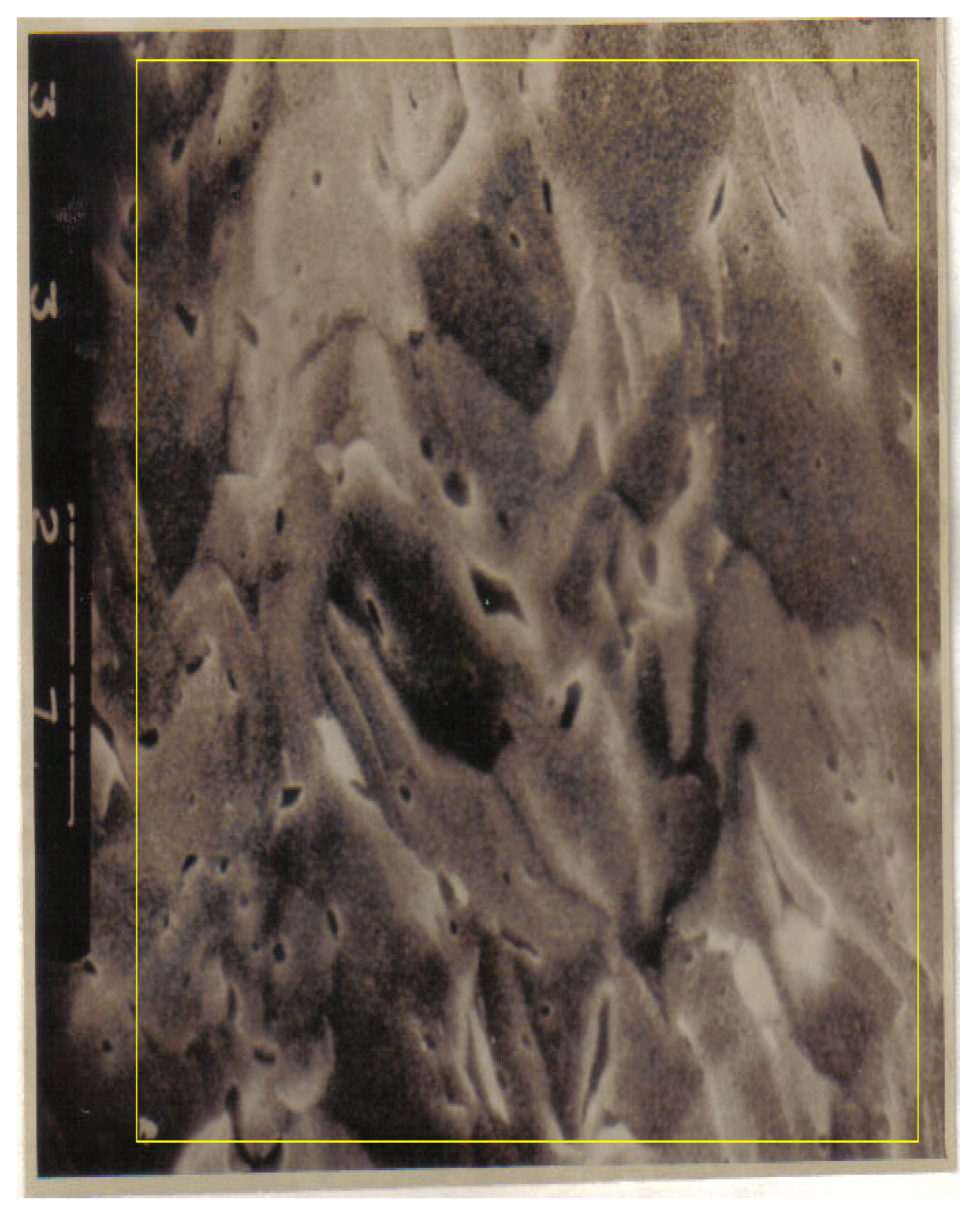 Fractalfract 06 00595 g001