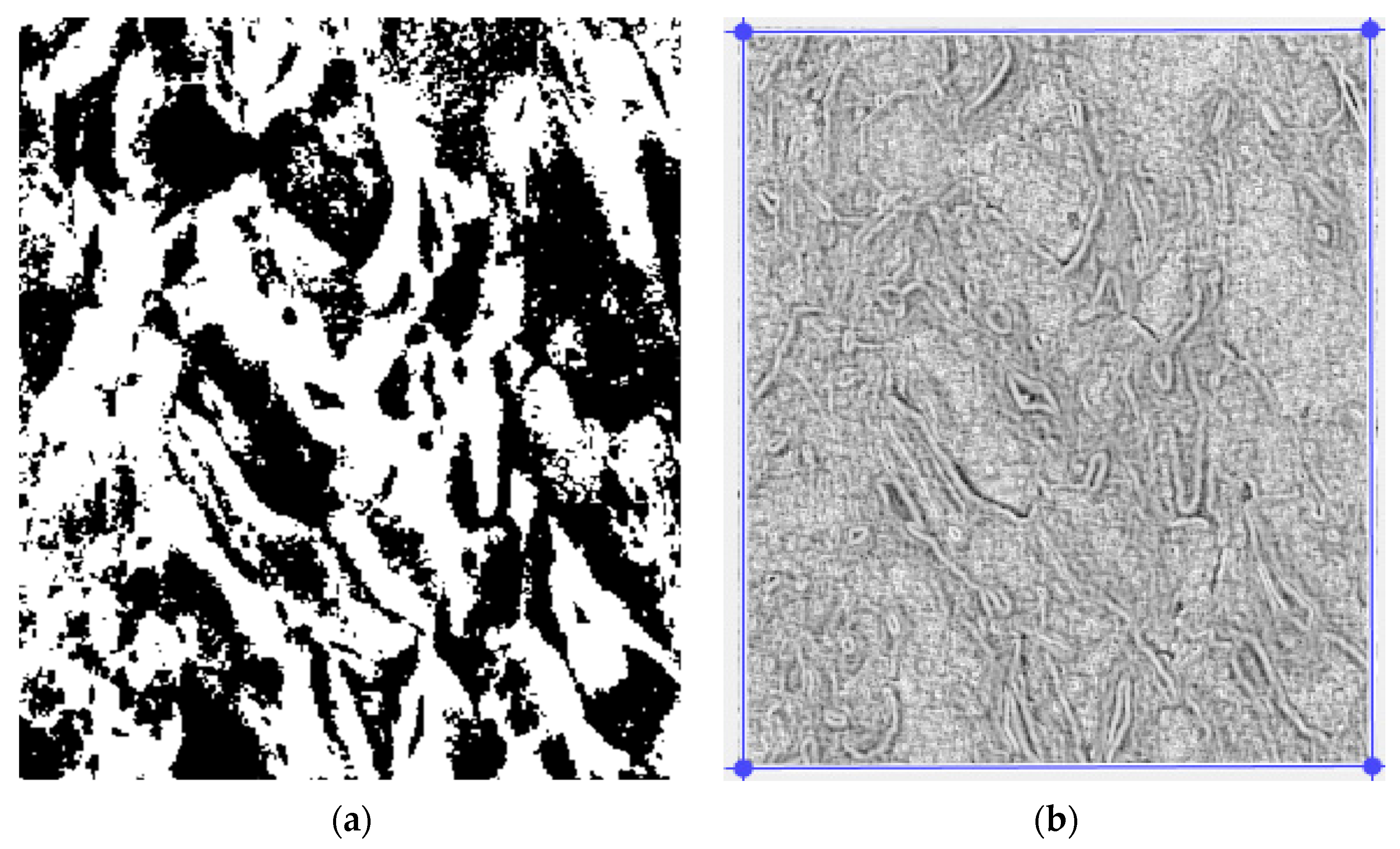 Fractalfract 06 00595 g008