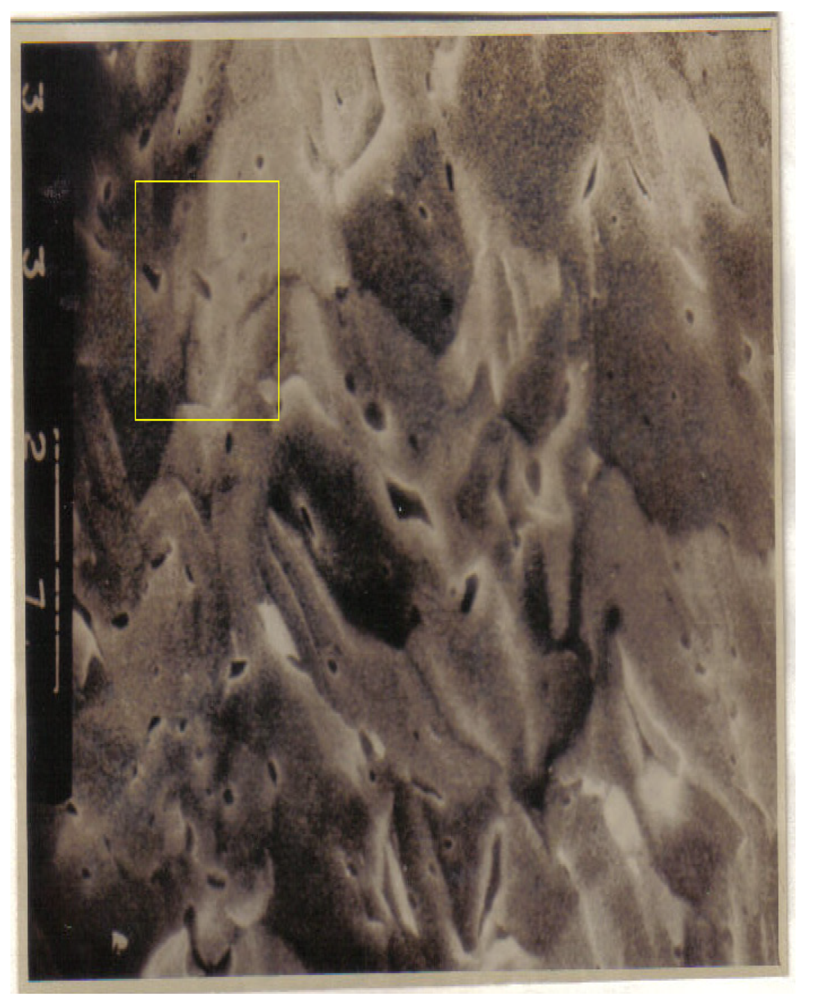 Fractalfract 06 00595 g010