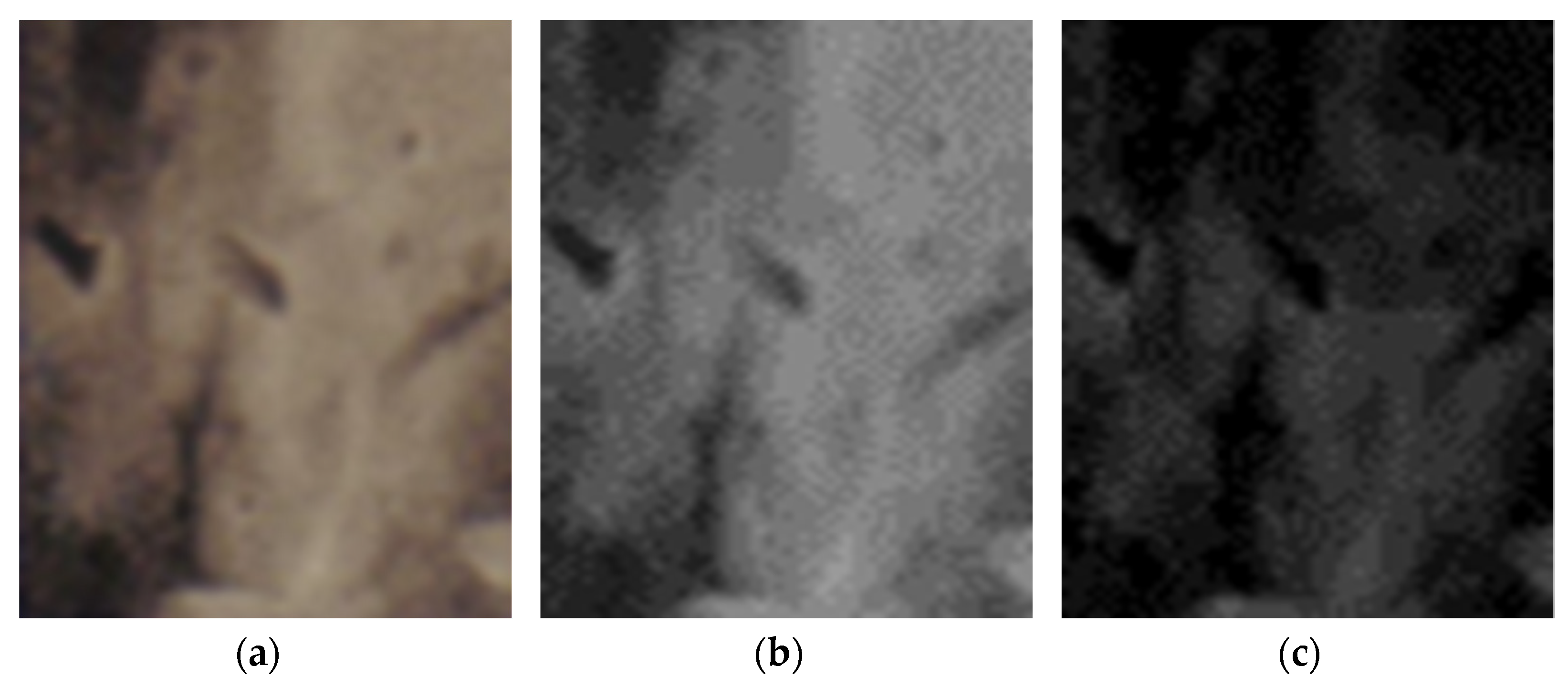 Fractalfract 06 00595 g016