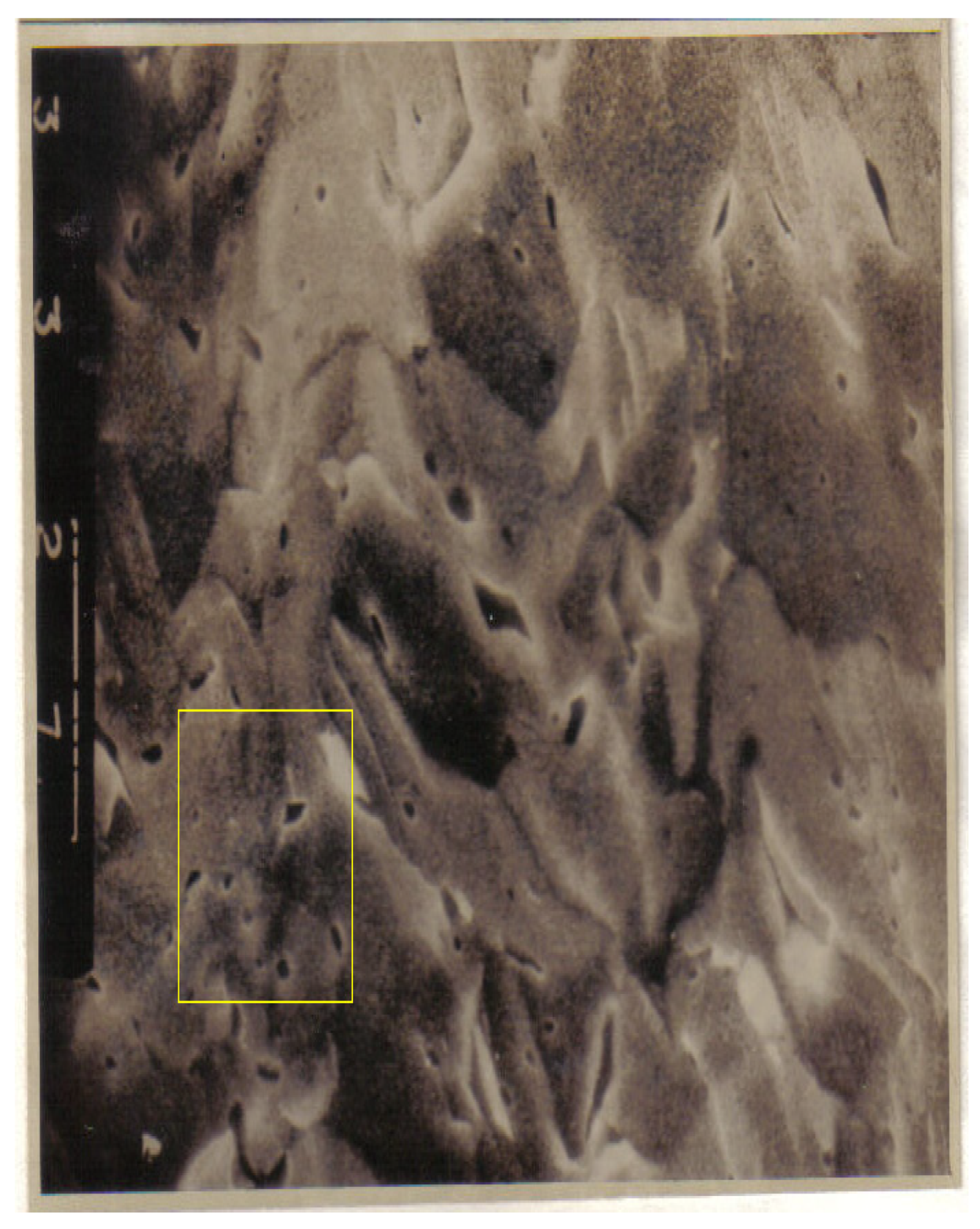 Fractalfract 06 00595 g019