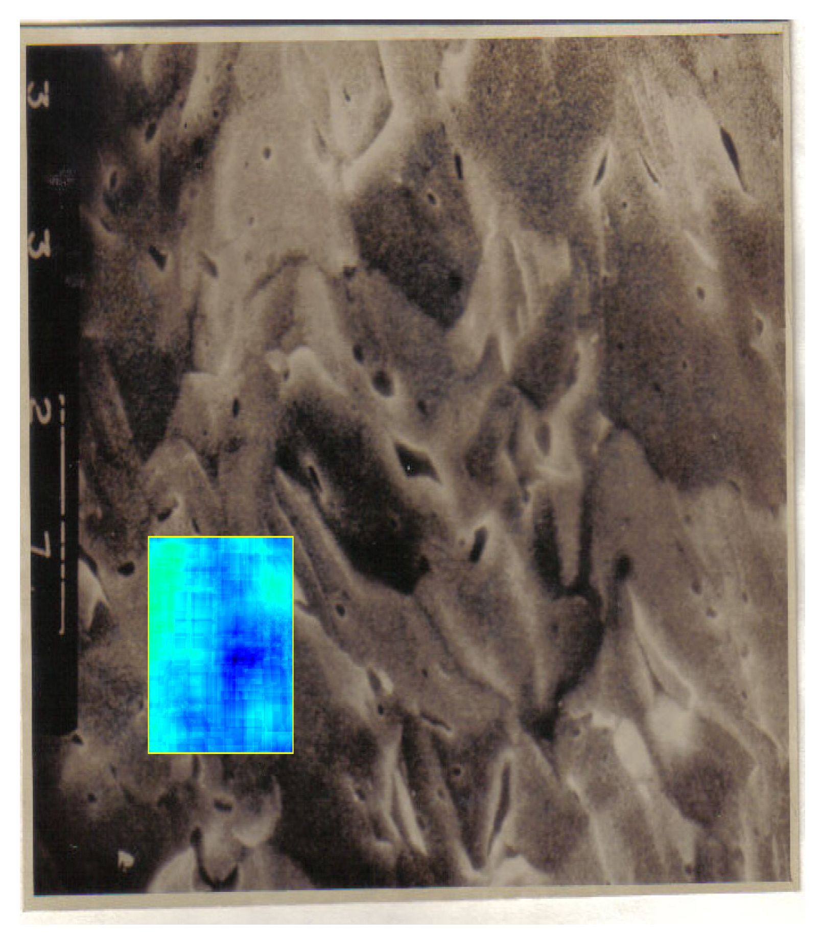 Fractalfract 06 00595 g021