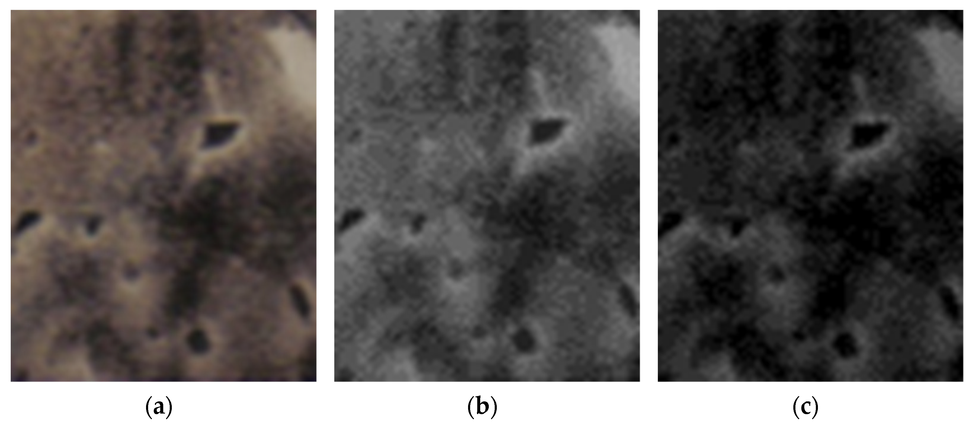 Fractalfract 06 00595 g025