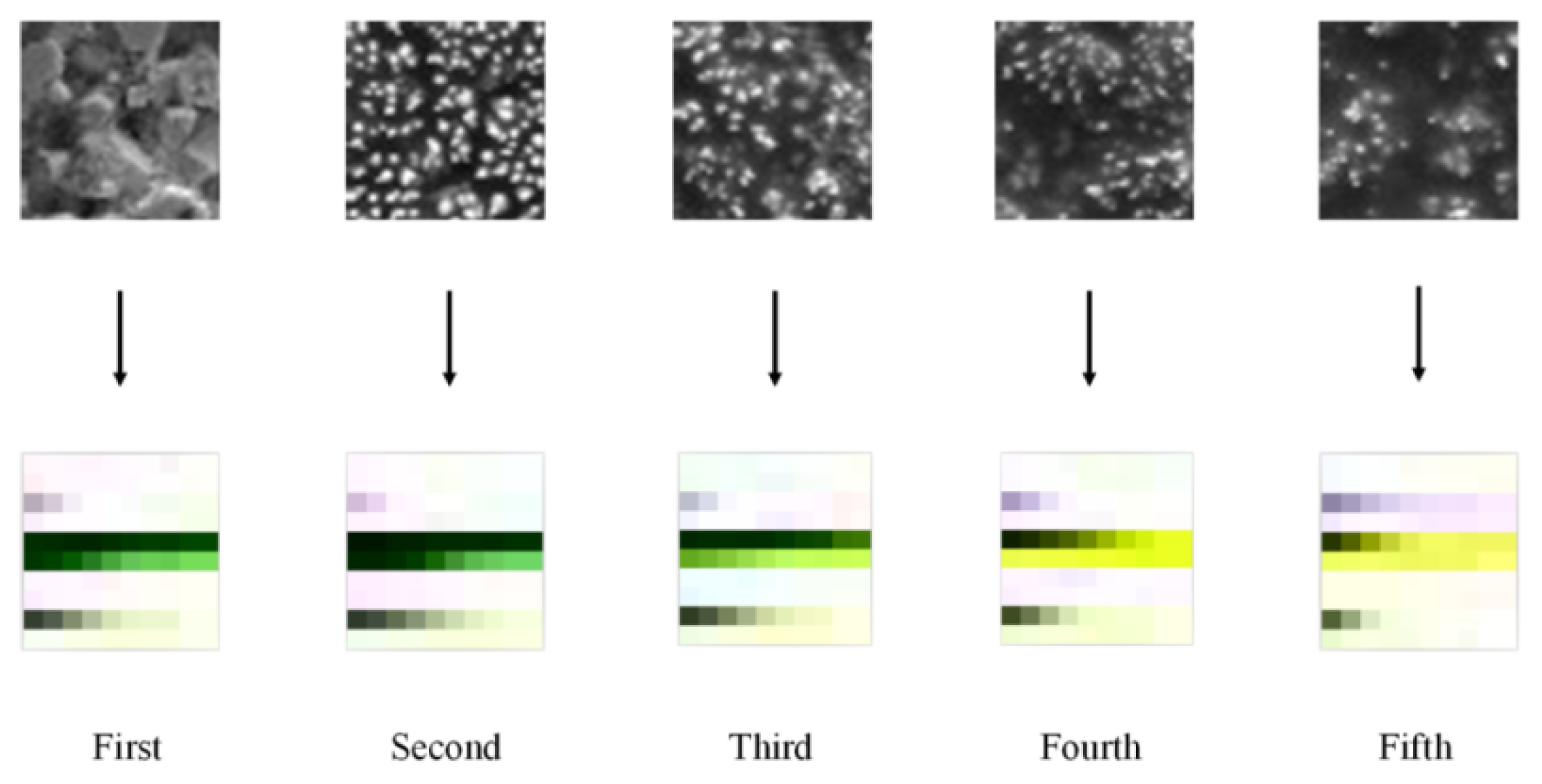 Fractalfract 06 00605 g007 Fractalfract 06 00605 g007