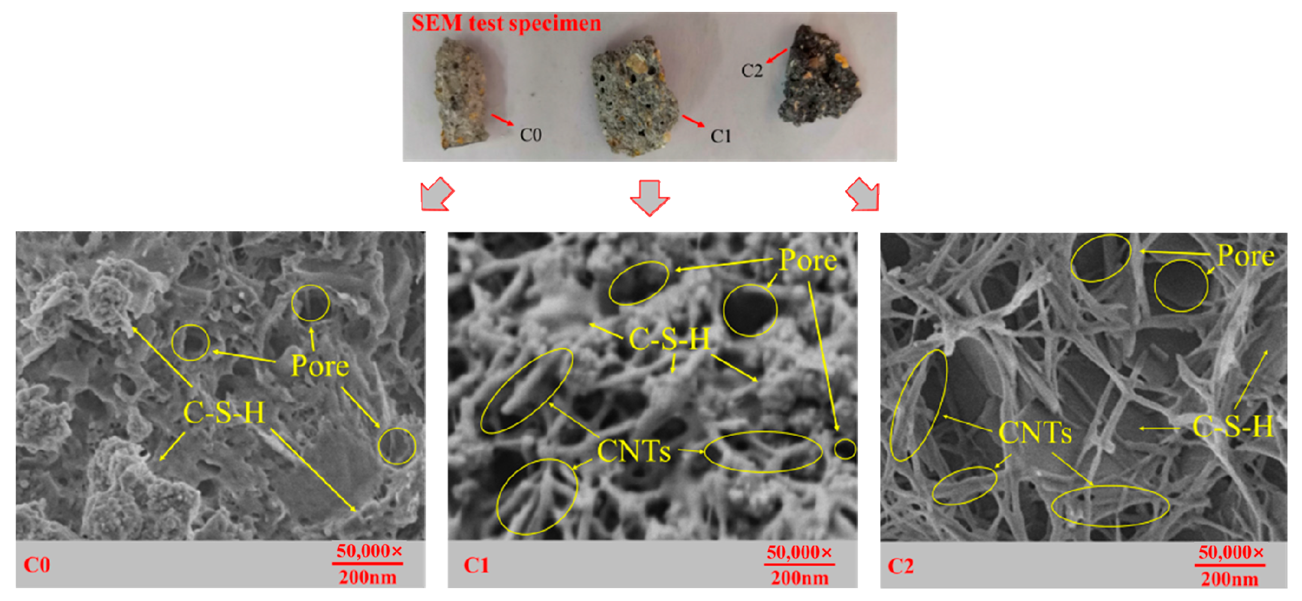 Fractalfract 06 00609 g007