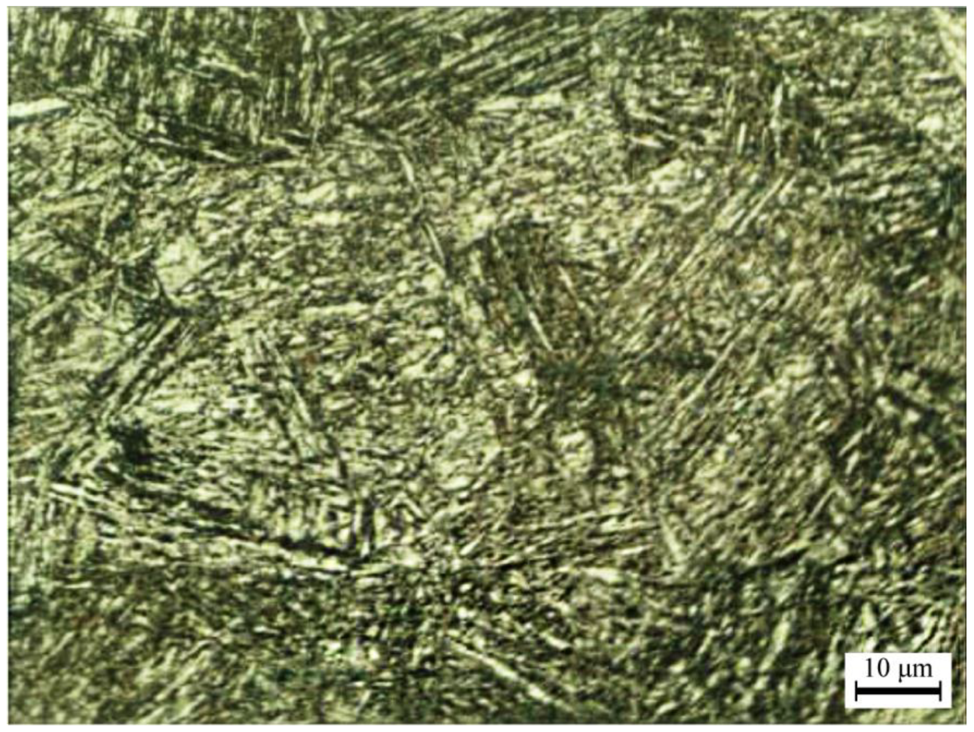 Fractalfract 06 00635 g001 Fractalfract 06 00635 g001