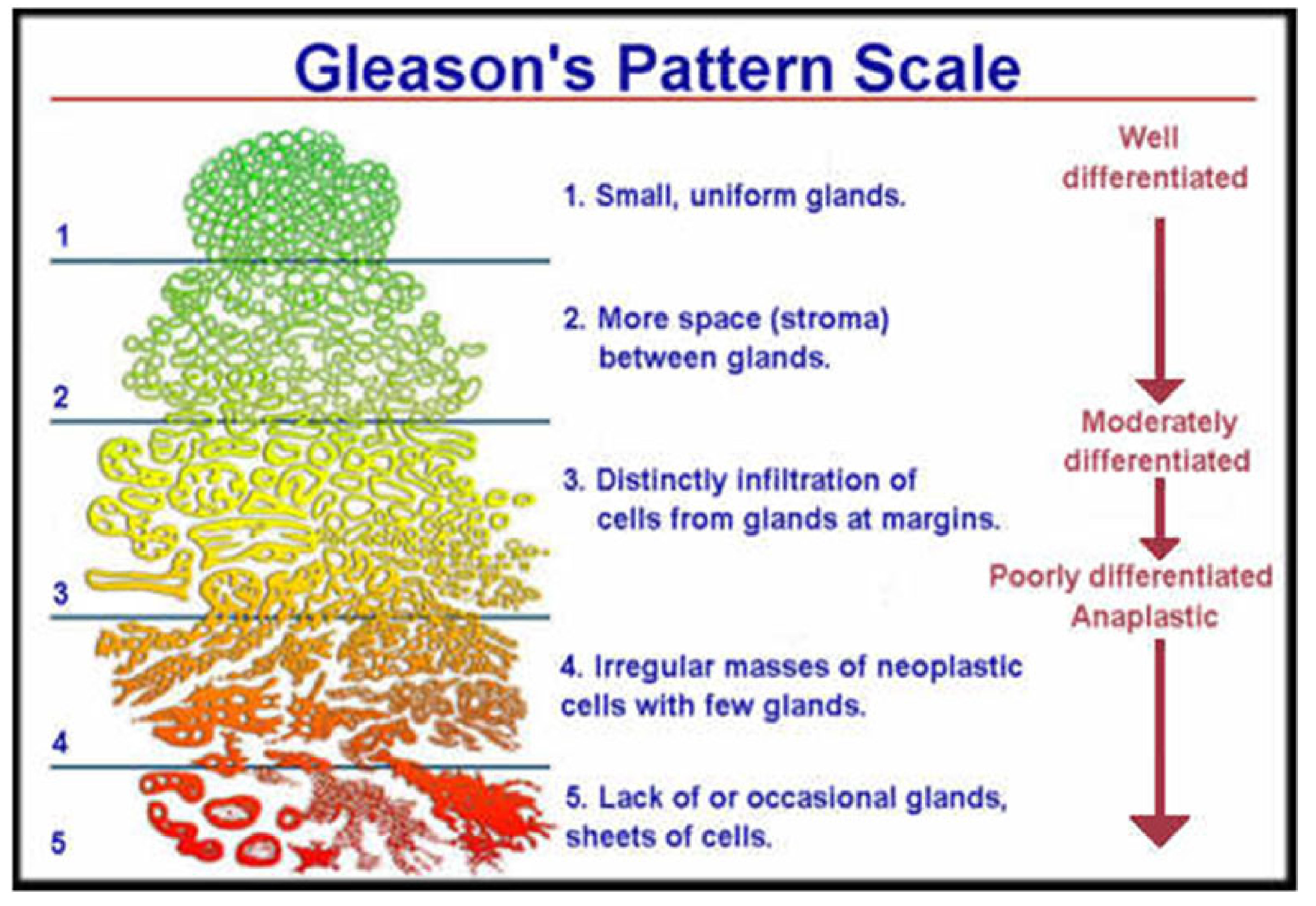 Fractalfract 06 00648 g001 Fractalfract 06 00648 g001