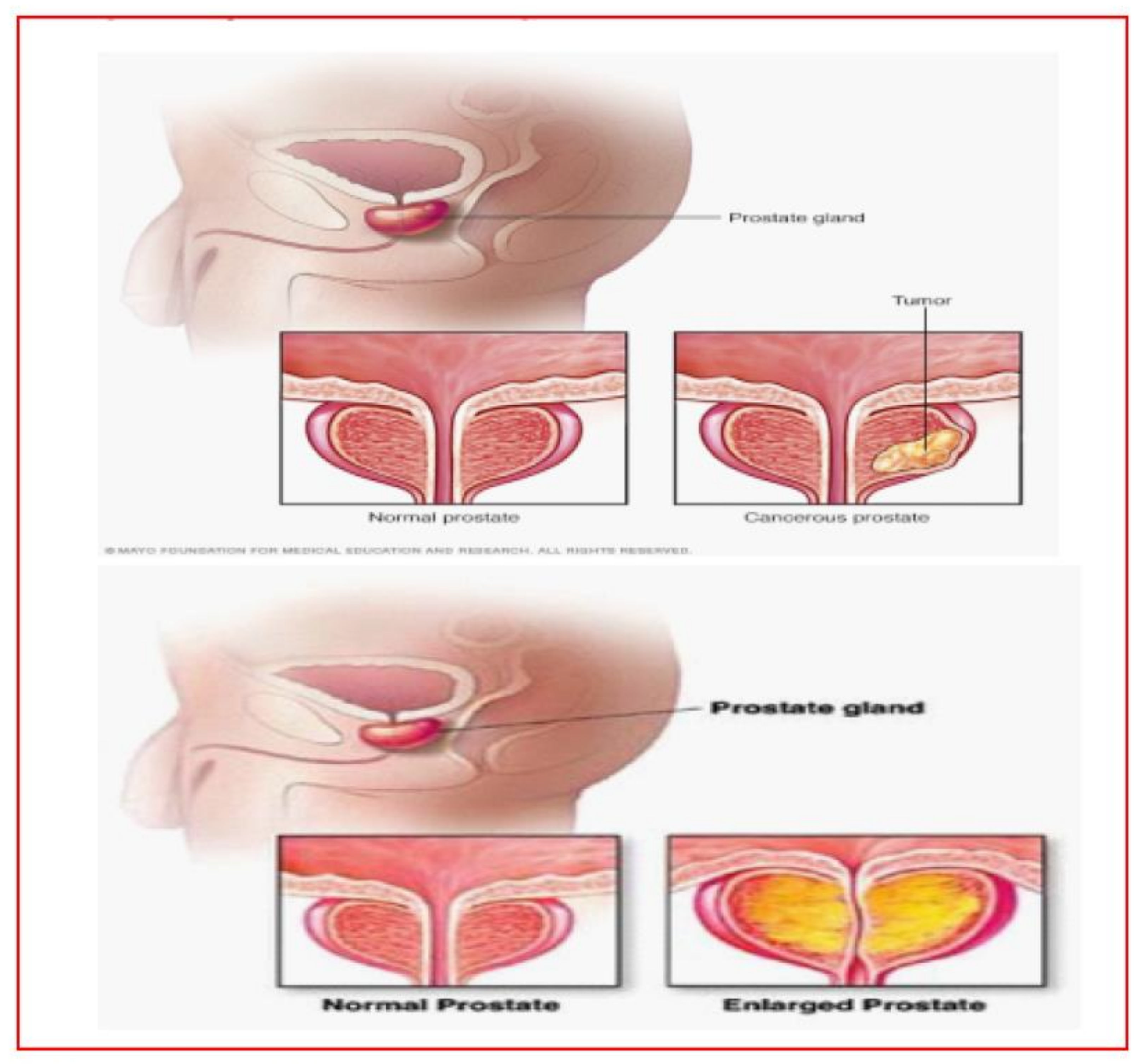 Fractalfract 06 00648 g002 Fractalfract 06 00648 g002