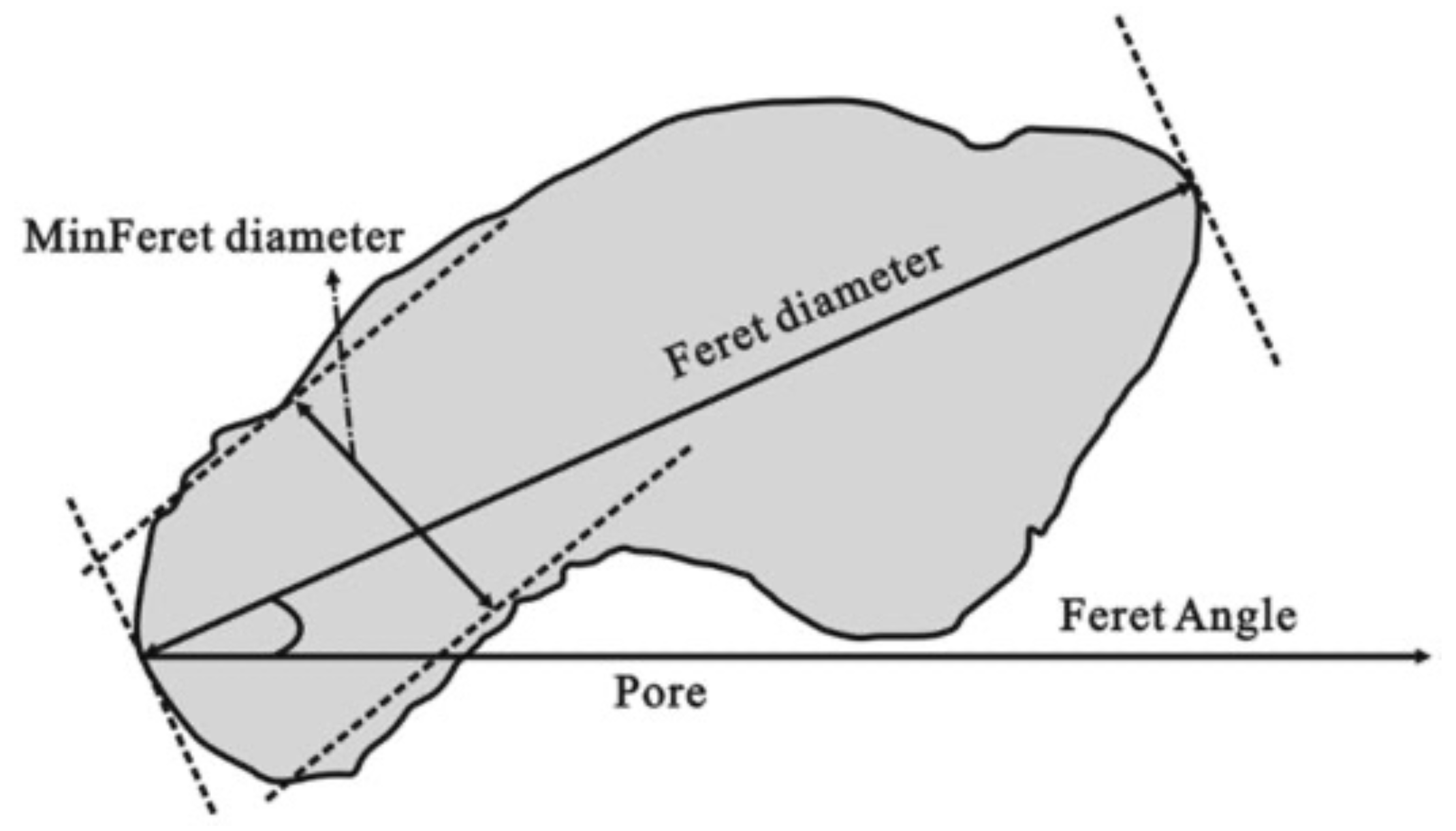 Fractalfract 06 00675 g002 Fractalfract 06 00675 g002